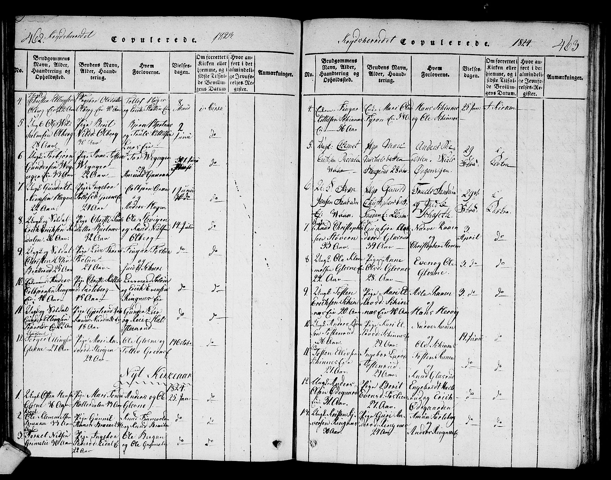 Sigdal kirkebøker, AV/SAKO-A-245/F/Fa/L0005: Parish register (official) no. I 5 /3, 1815-1829, p. 462-463