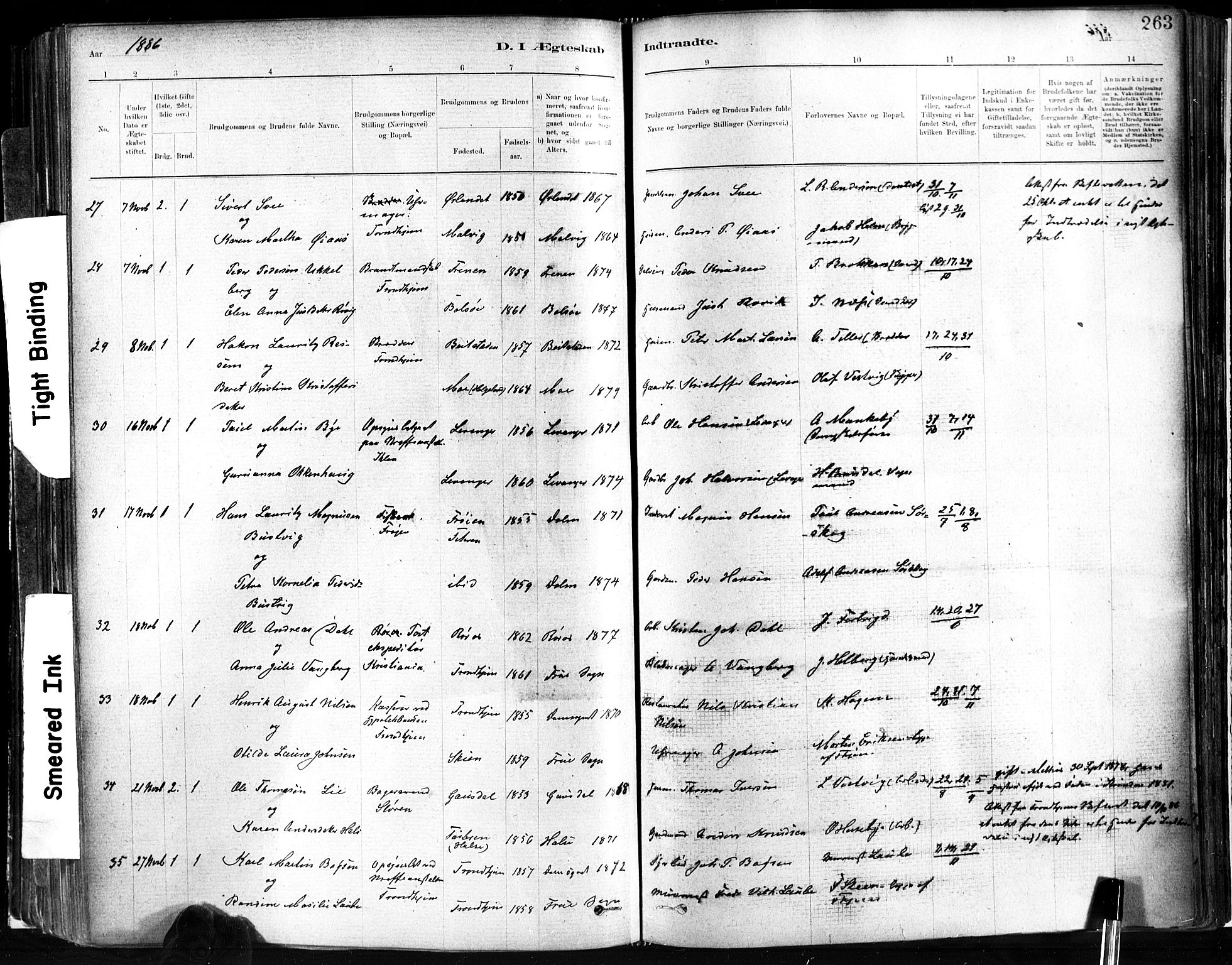 Ministerialprotokoller, klokkerbøker og fødselsregistre - Sør-Trøndelag, AV/SAT-A-1456/602/L0119: Parish register (official) no. 602A17, 1880-1901, p. 263