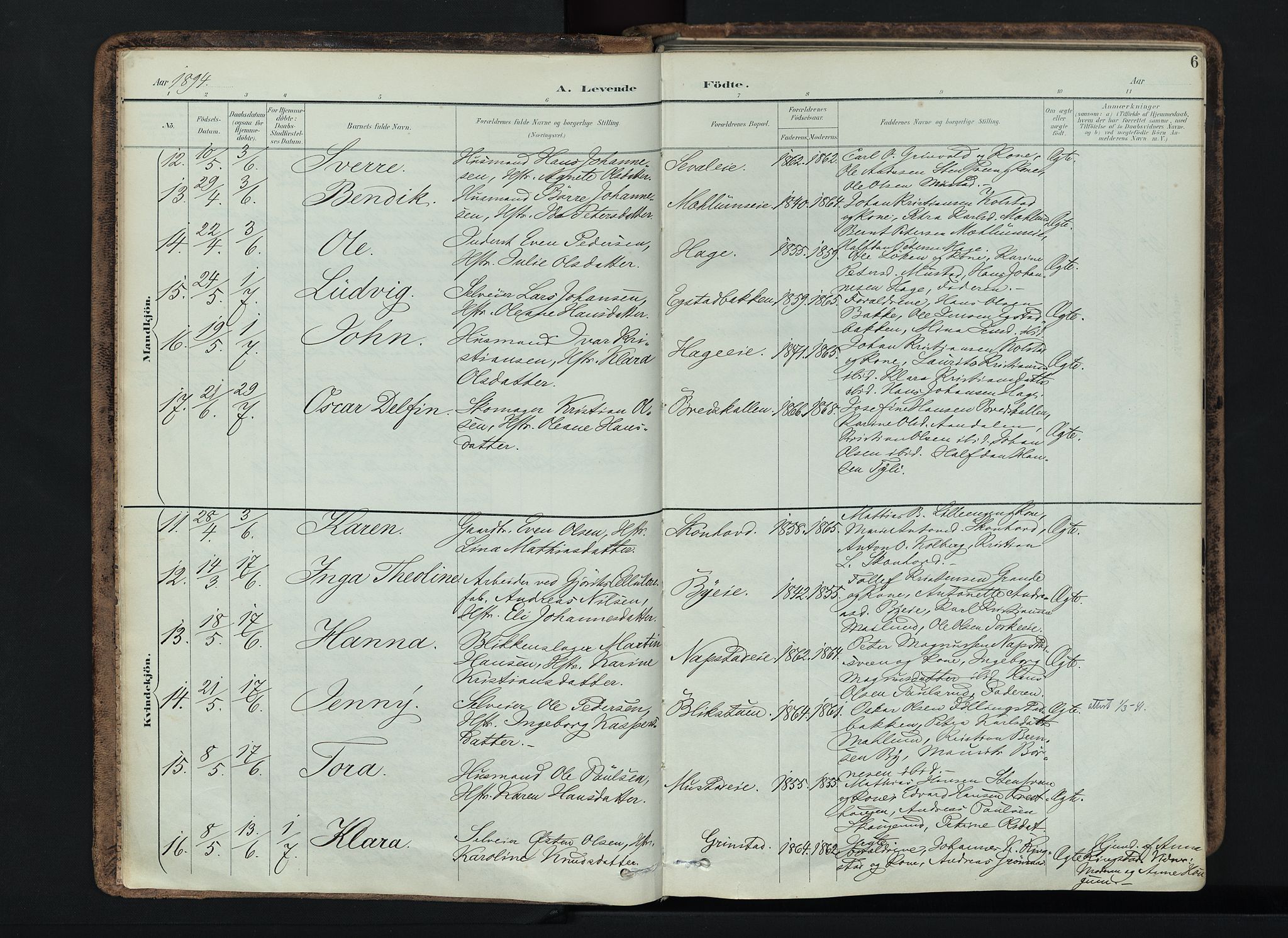 Vardal prestekontor, AV/SAH-PREST-100/H/Ha/Haa/L0019: Parish register (official) no. 19, 1893-1907, p. 6