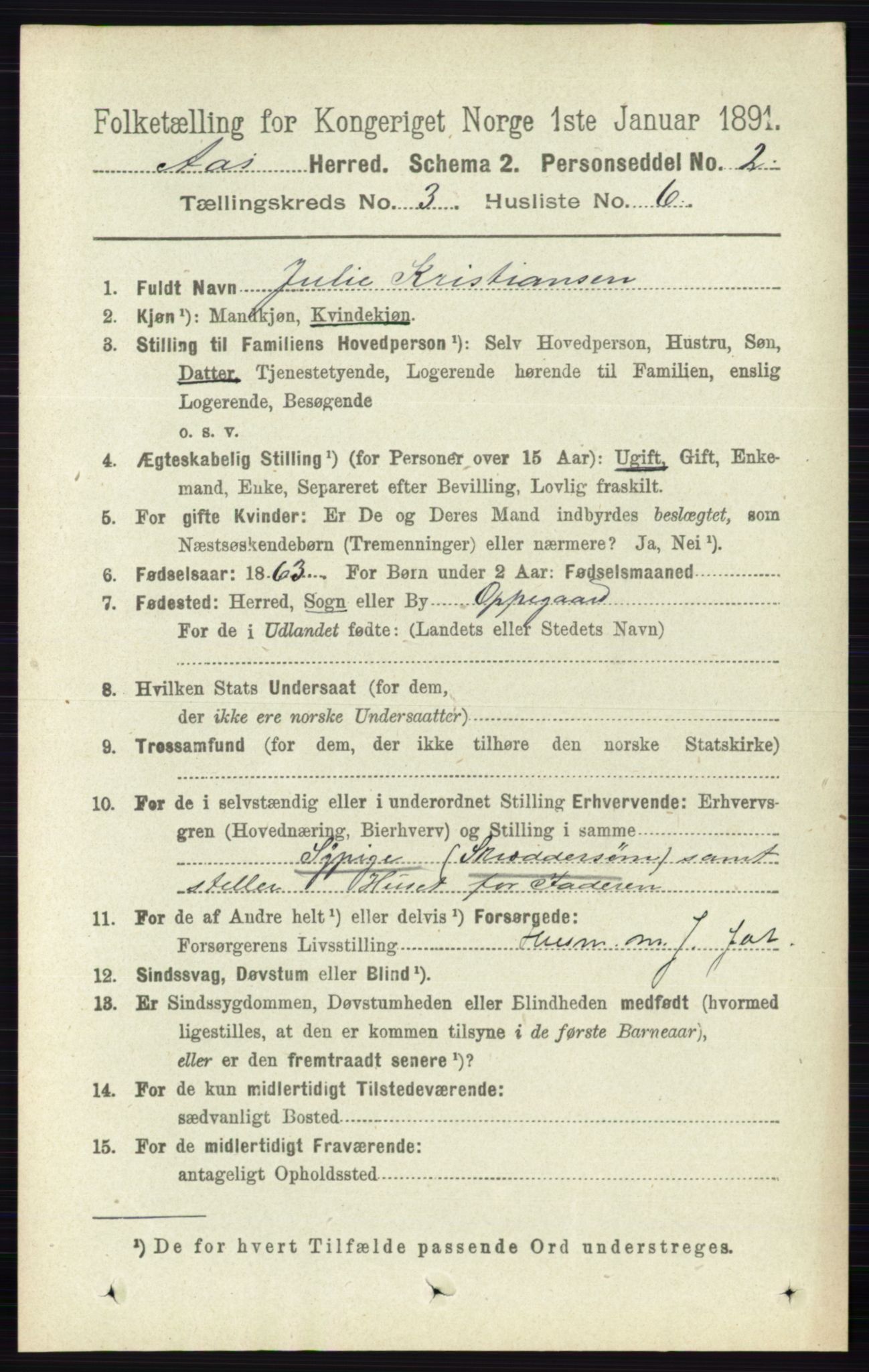 RA, 1891 census for 0214 Ås, 1891, p. 2163