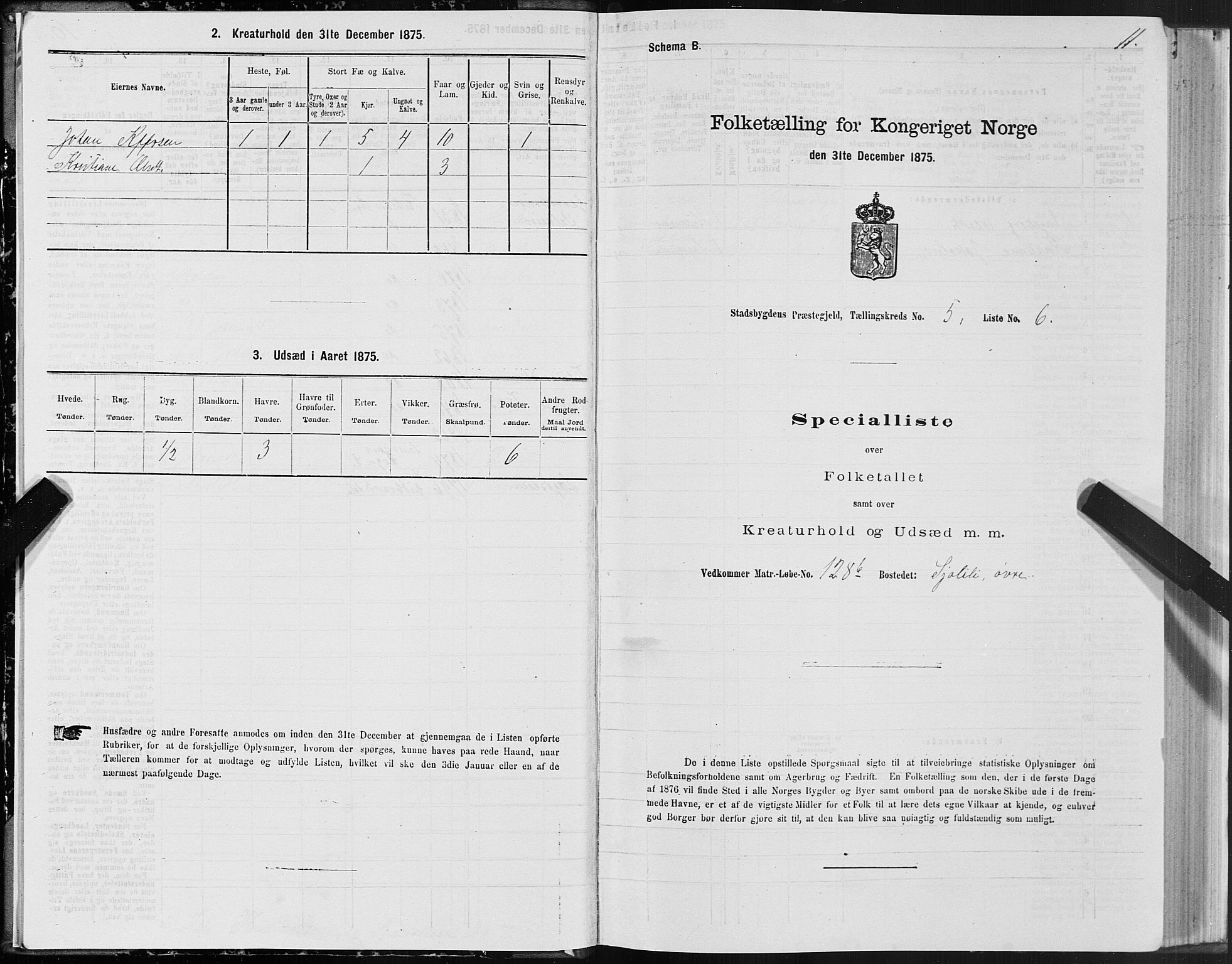 SAT, 1875 census for 1625P Stadsbygd, 1875, p. 3011