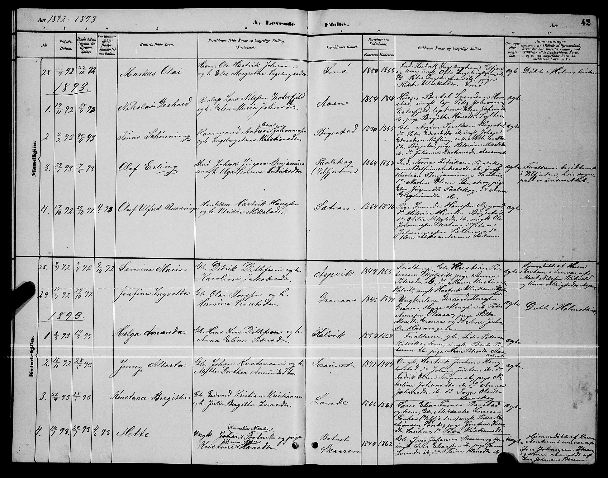 Ministerialprotokoller, klokkerbøker og fødselsregistre - Nordland, SAT/A-1459/810/L0160: Parish register (copy) no. 810C03, 1884-1896, p. 42