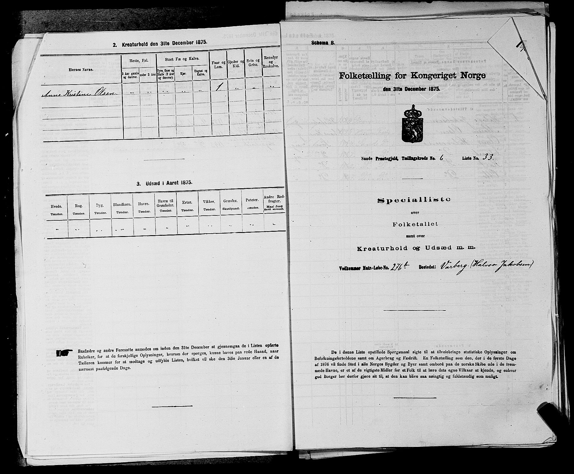 SAKO, 1875 census for 0713P Sande, 1875, p. 1161