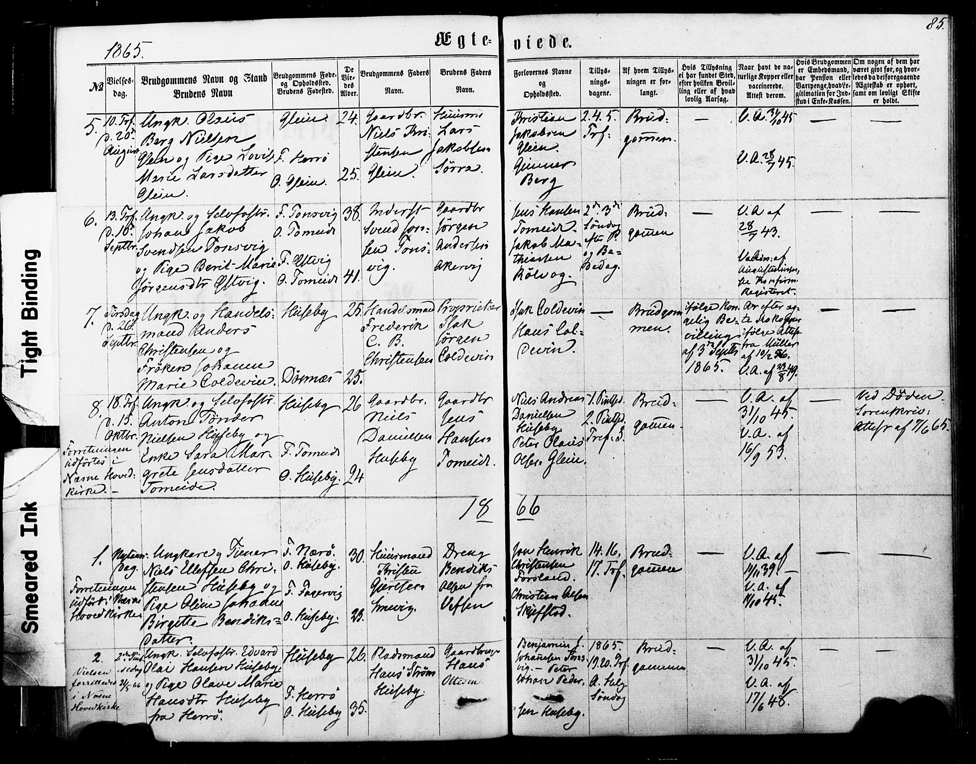 Ministerialprotokoller, klokkerbøker og fødselsregistre - Nordland, SAT/A-1459/835/L0524: Parish register (official) no. 835A02, 1865-1880, p. 85