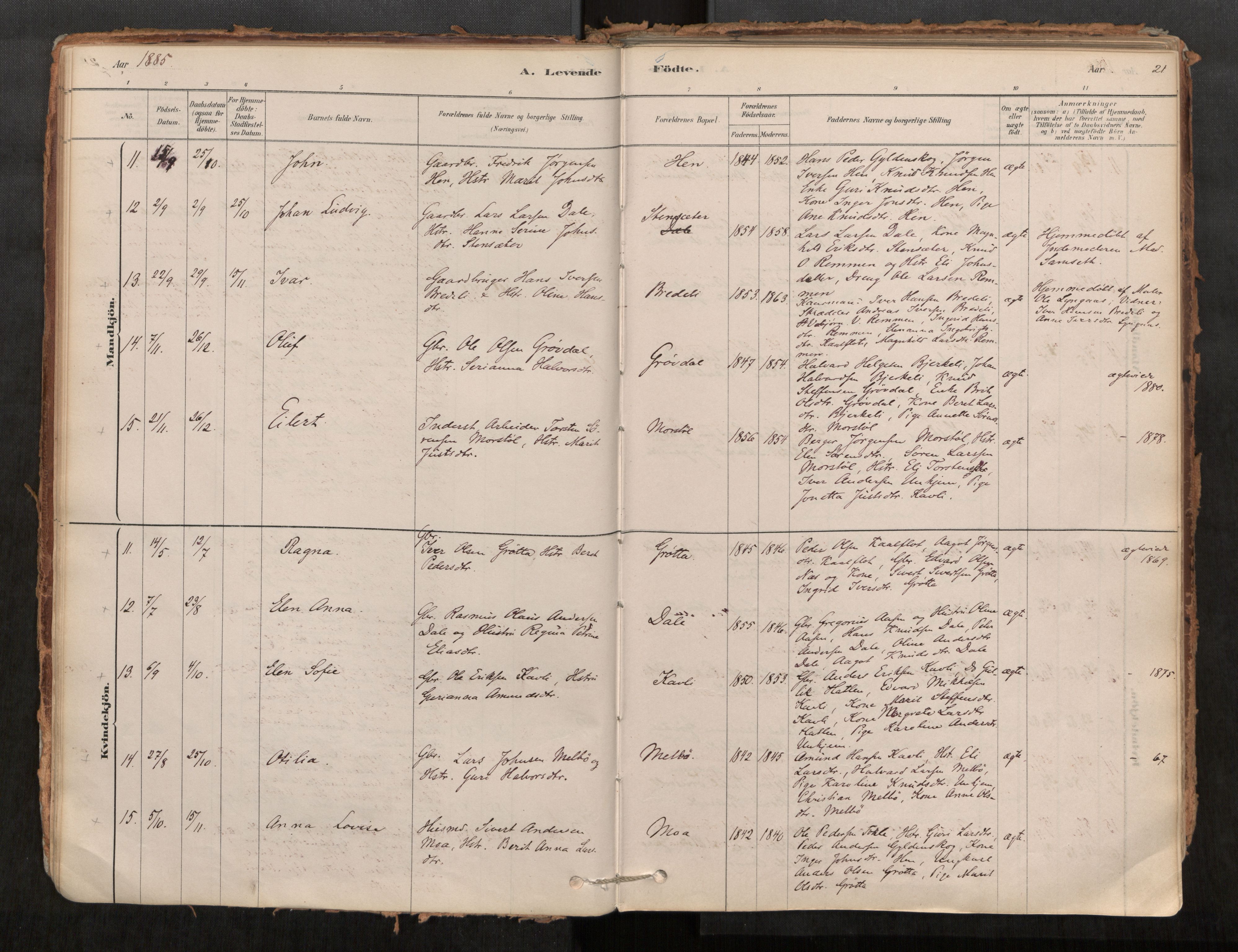 Ministerialprotokoller, klokkerbøker og fødselsregistre - Møre og Romsdal, AV/SAT-A-1454/545/L0594: Parish register (official) no. 545A03, 1878-1920, p. 21