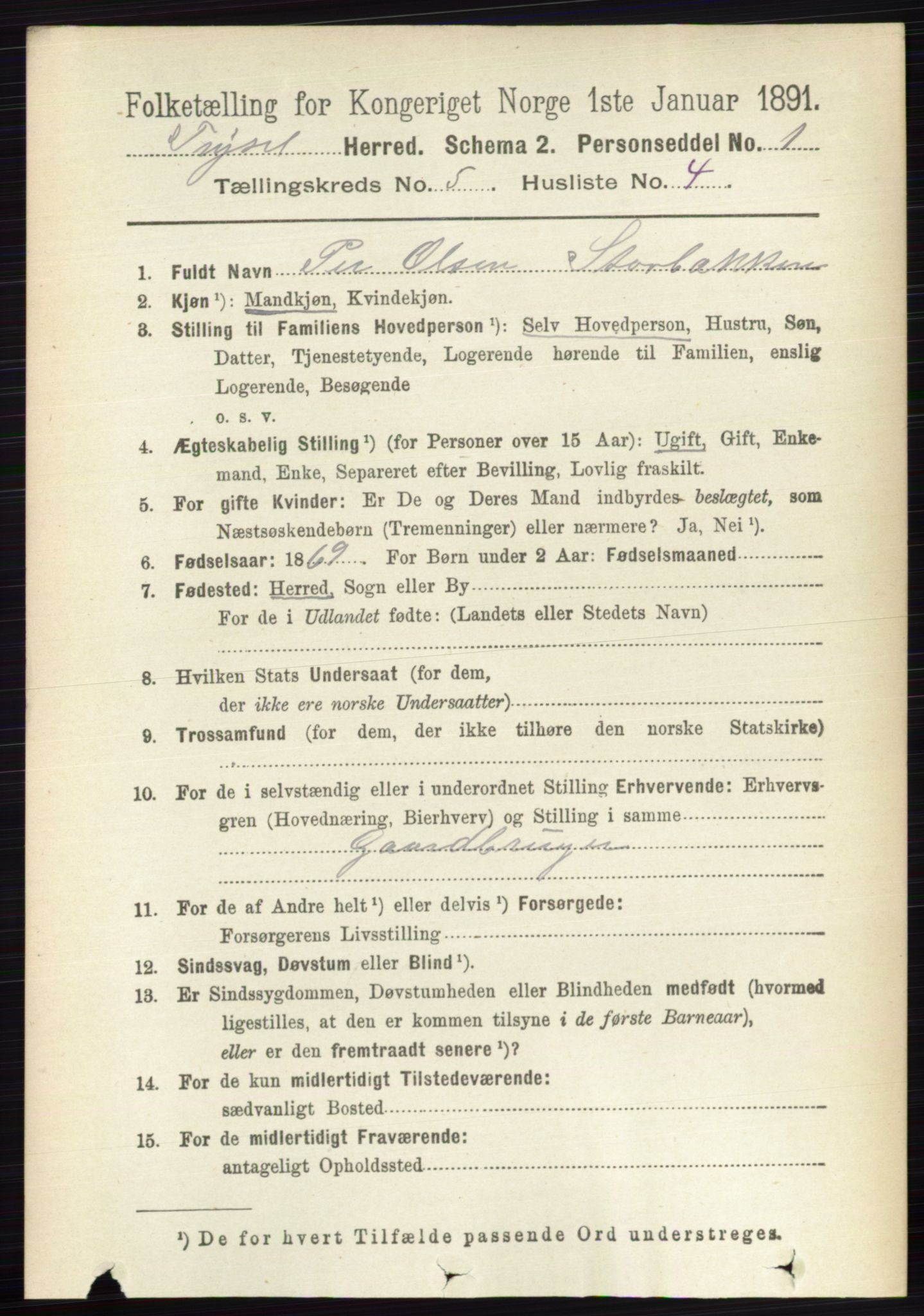 RA, 1891 census for 0428 Trysil, 1891, p. 2324