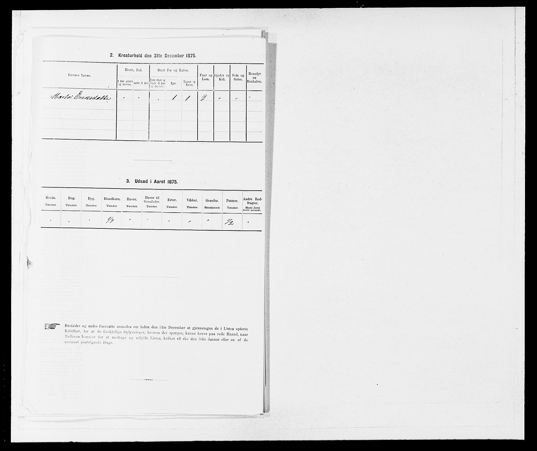 SAB, 1875 census for 1236P Vossestrand, 1875, p. 545