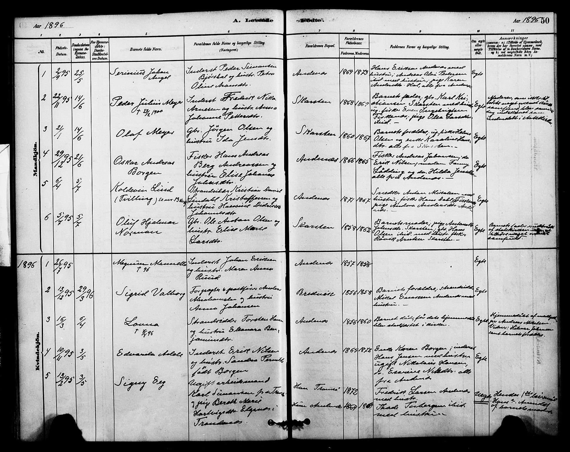 Ministerialprotokoller, klokkerbøker og fødselsregistre - Nordland, SAT/A-1459/899/L1436: Parish register (official) no. 899A04, 1881-1896, p. 50
