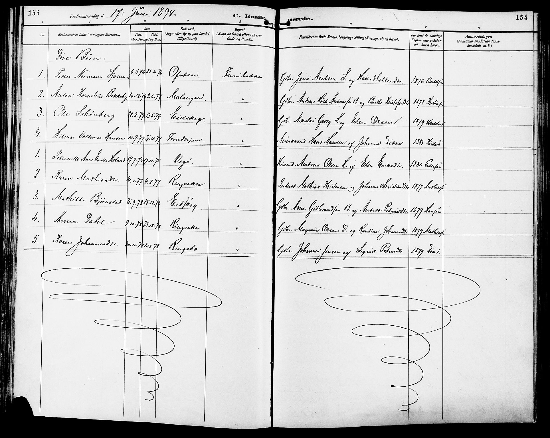 Vang prestekontor, Hedmark, AV/SAH-PREST-008/H/Ha/Haa/L0017: Parish register (official) no. 17, 1890-1899, p. 154