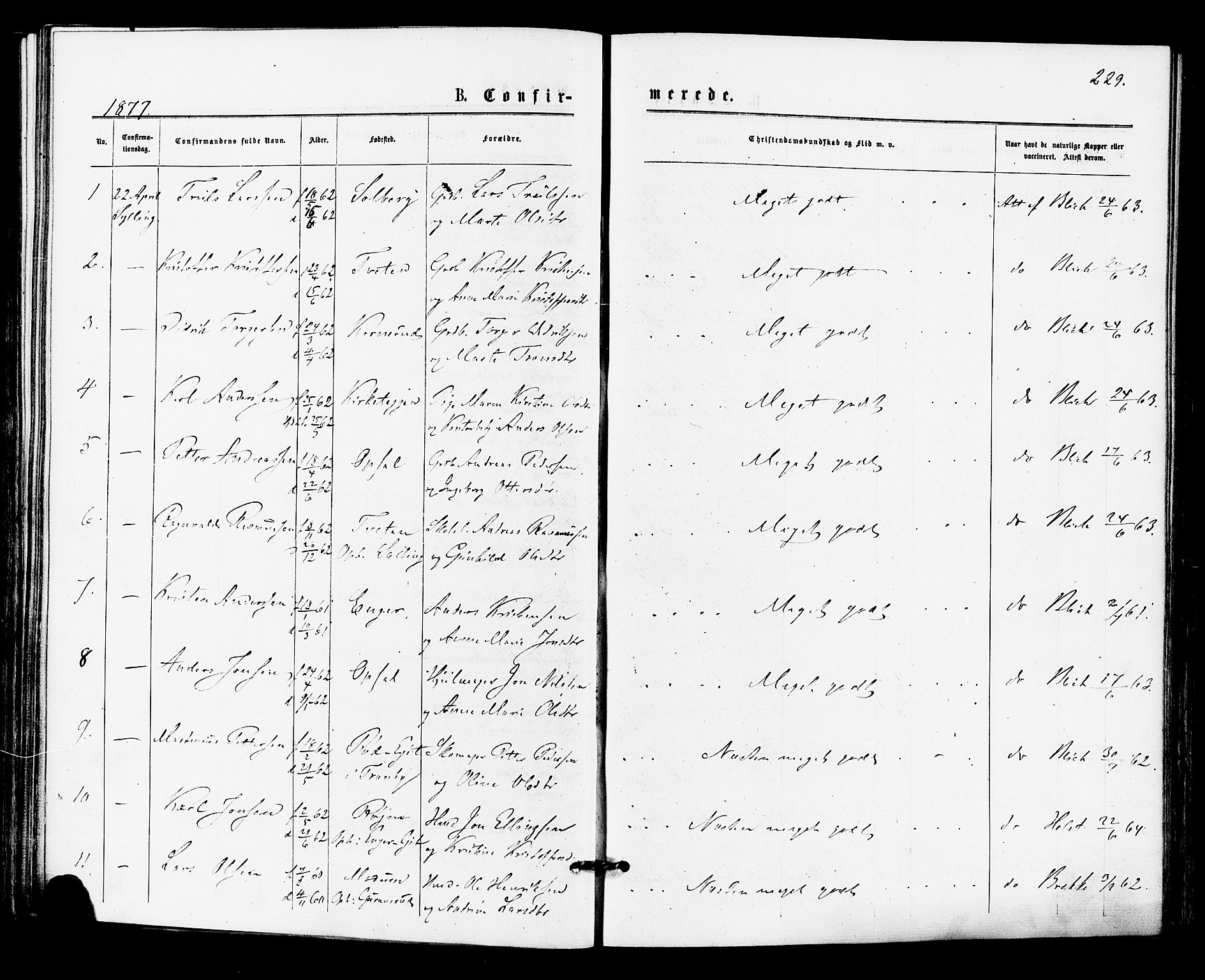 Lier kirkebøker, AV/SAKO-A-230/F/Fa/L0014: Parish register (official) no. I 14, 1875-1882, p. 229