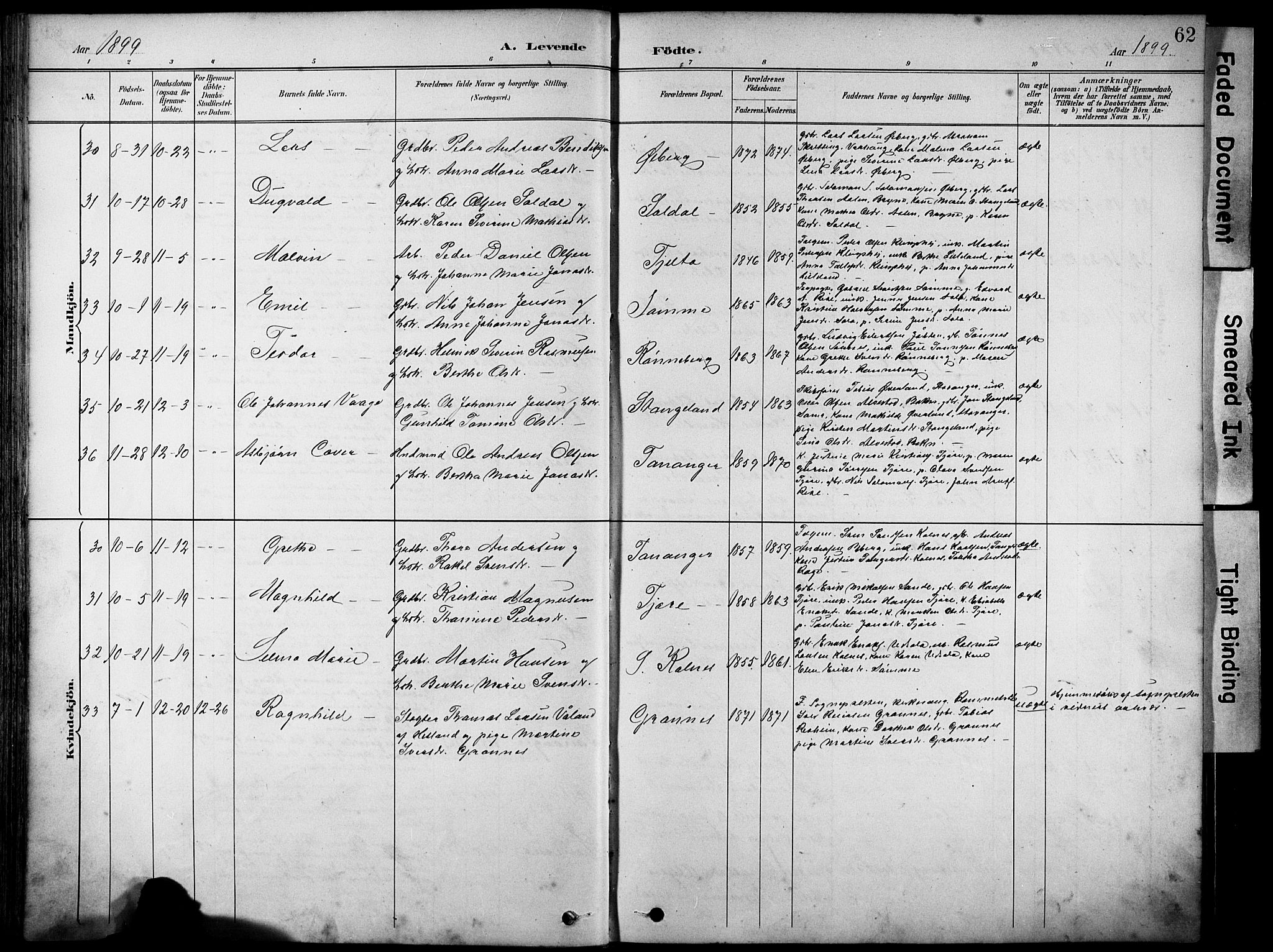 Håland sokneprestkontor, AV/SAST-A-101802/001/30BA/L0012: Parish register (official) no. A 11, 1889-1900, p. 62