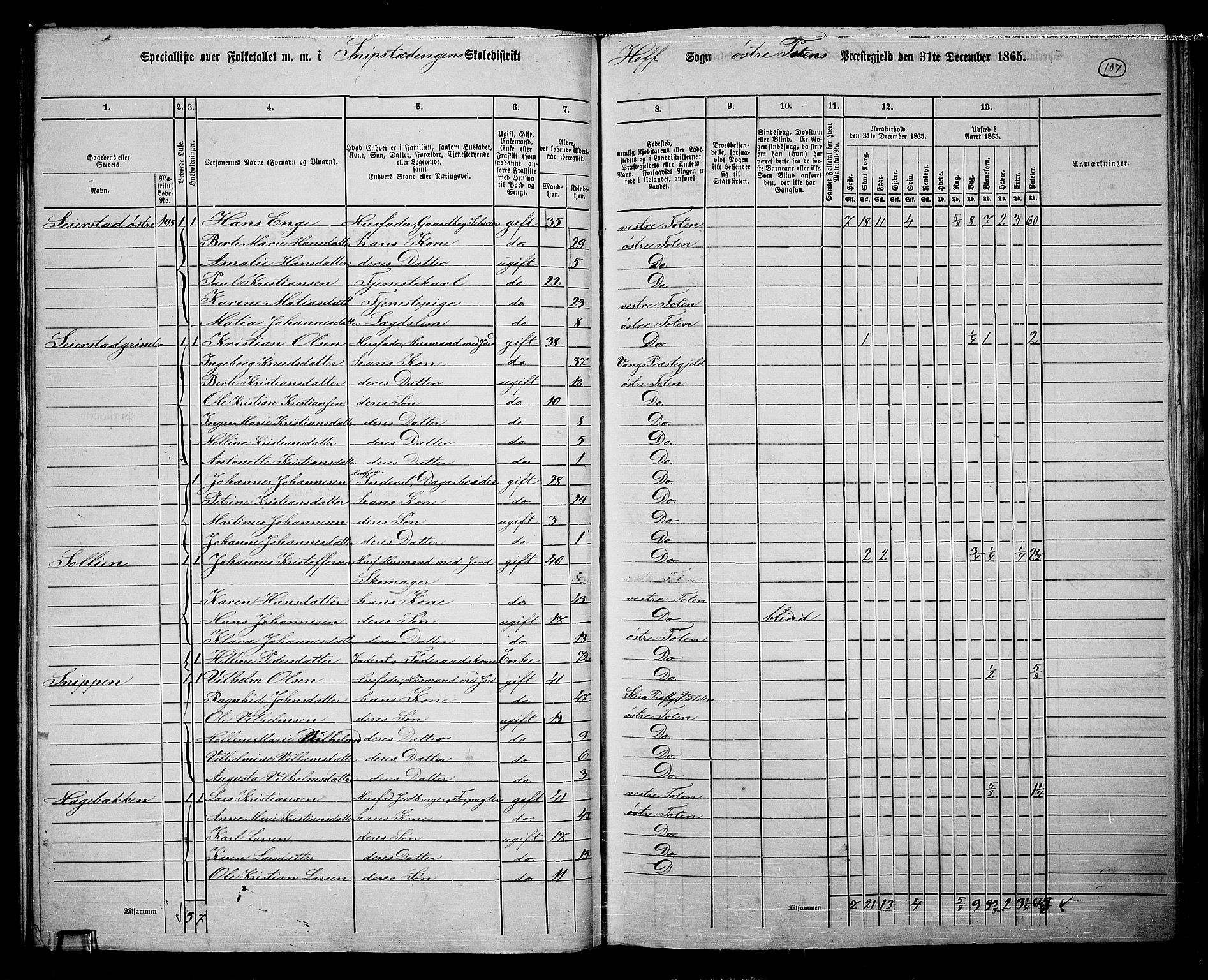 RA, 1865 census for Østre Toten, 1865, p. 226