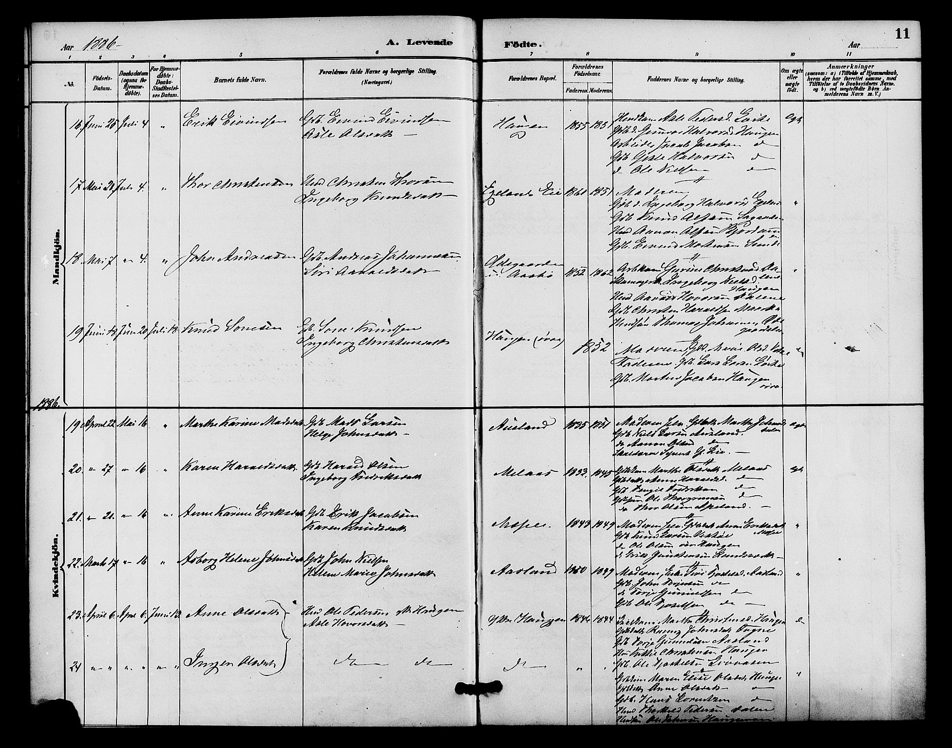 Gjerstad sokneprestkontor, AV/SAK-1111-0014/F/Fa/Faa/L0009: Parish register (official) no. A 9, 1885-1890, p. 11