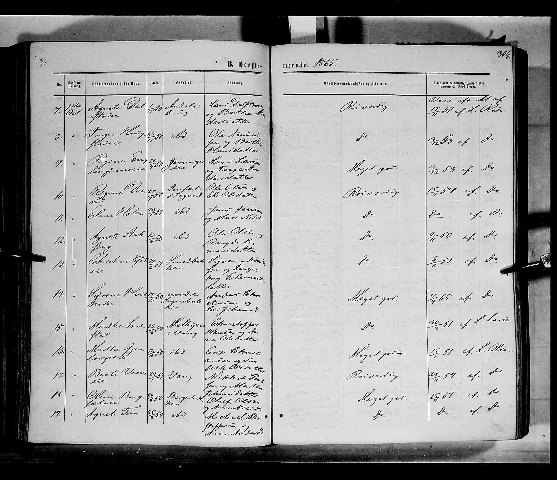 Løten prestekontor, AV/SAH-PREST-022/K/Ka/L0008: Parish register (official) no. 8, 1860-1877, p. 306