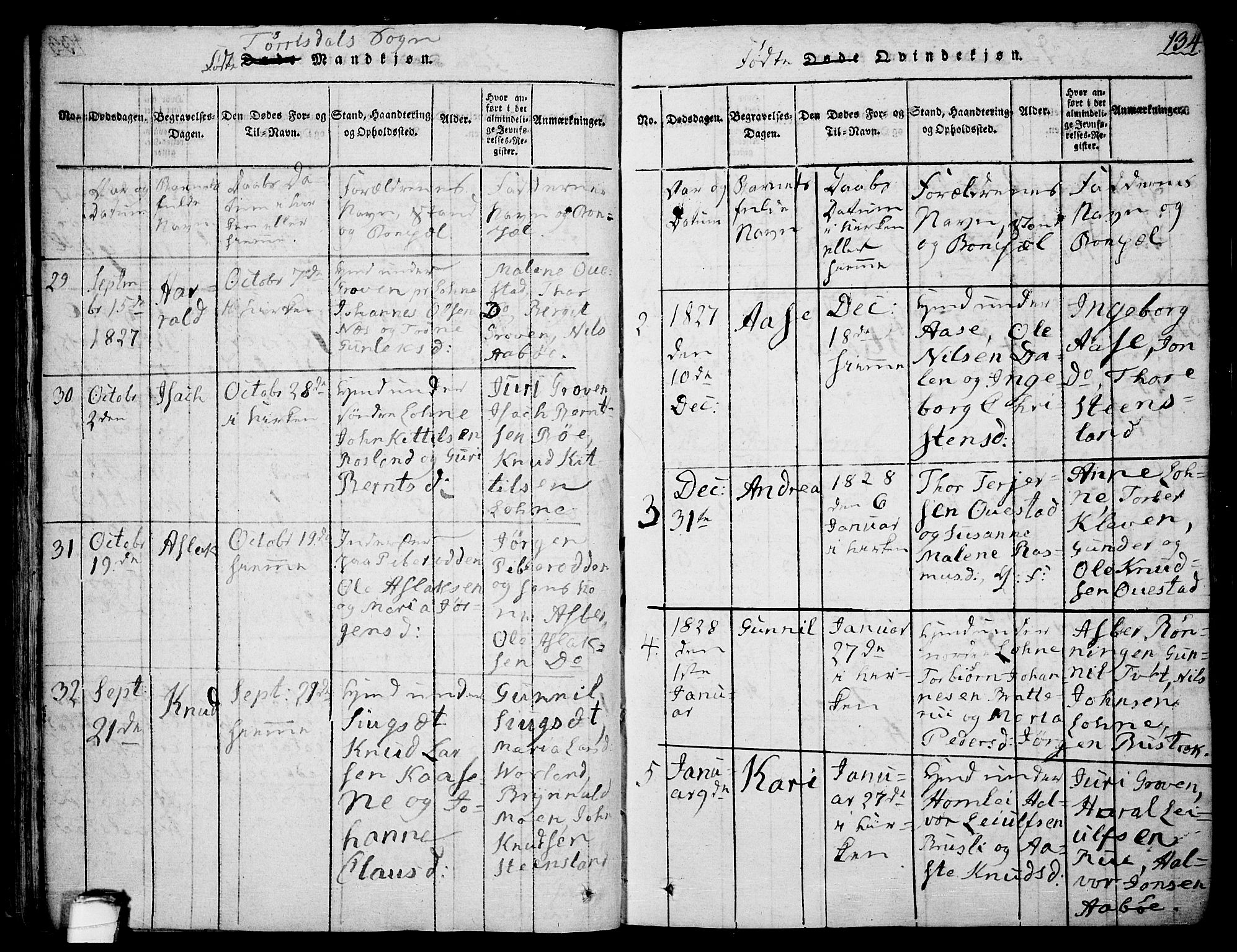 Drangedal kirkebøker, SAKO/A-258/F/Fa/L0005: Parish register (official) no. 5 /2, 1814-1831, p. 134
