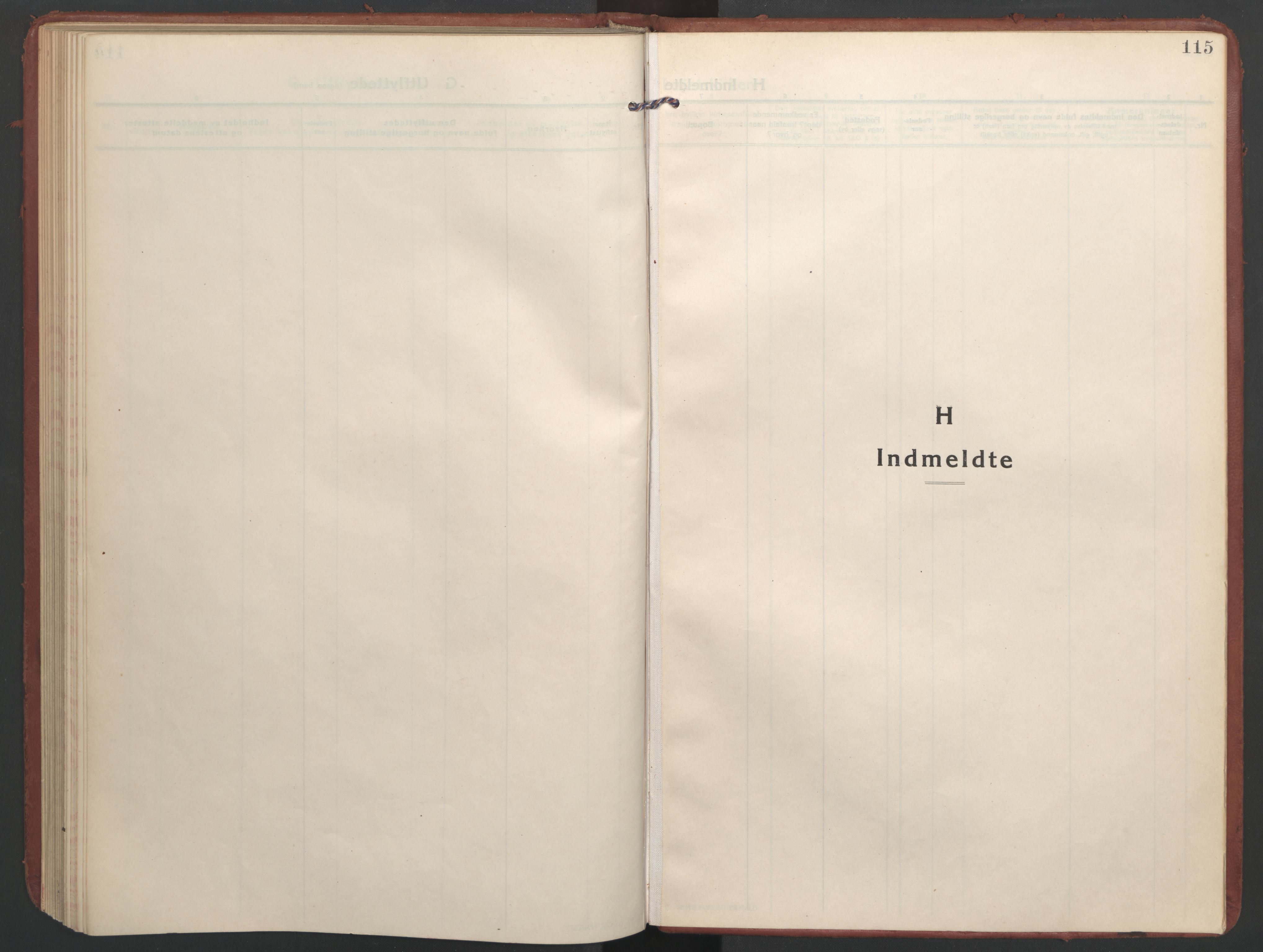 Ministerialprotokoller, klokkerbøker og fødselsregistre - Nordland, SAT/A-1459/832/L0492: Parish register (official) no. 832A01, 1916-1934, p. 115