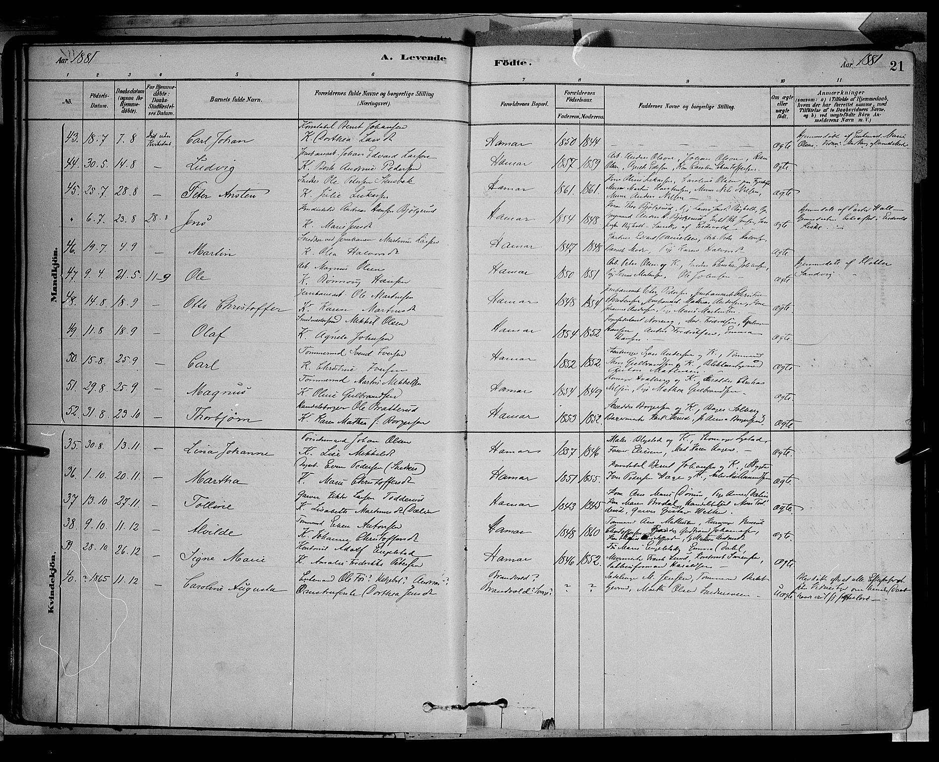 Vang prestekontor, Hedmark, AV/SAH-PREST-008/H/Ha/Haa/L0016: Parish register (official) no. 16, 1878-1889, p. 21