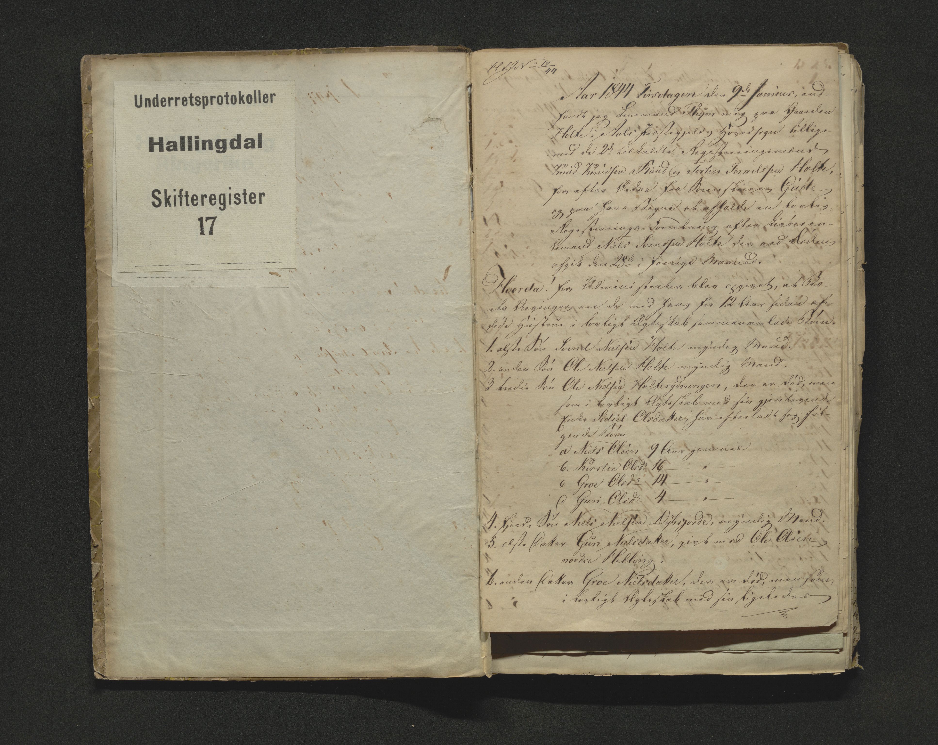 Hallingdal sorenskriveri, AV/SAKO-A-121/H/Hb/Hbb/Hbba/L0017: Skifteregistreringsprotokoll, Sorenskriveriet, 1844