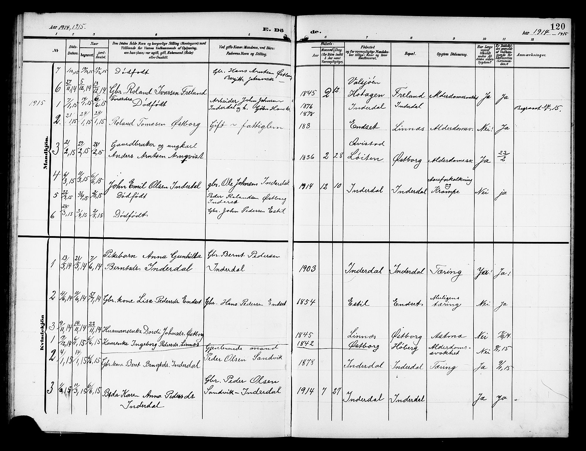 Ministerialprotokoller, klokkerbøker og fødselsregistre - Nord-Trøndelag, SAT/A-1458/757/L0506: Parish register (copy) no. 757C01, 1904-1922, p. 120
