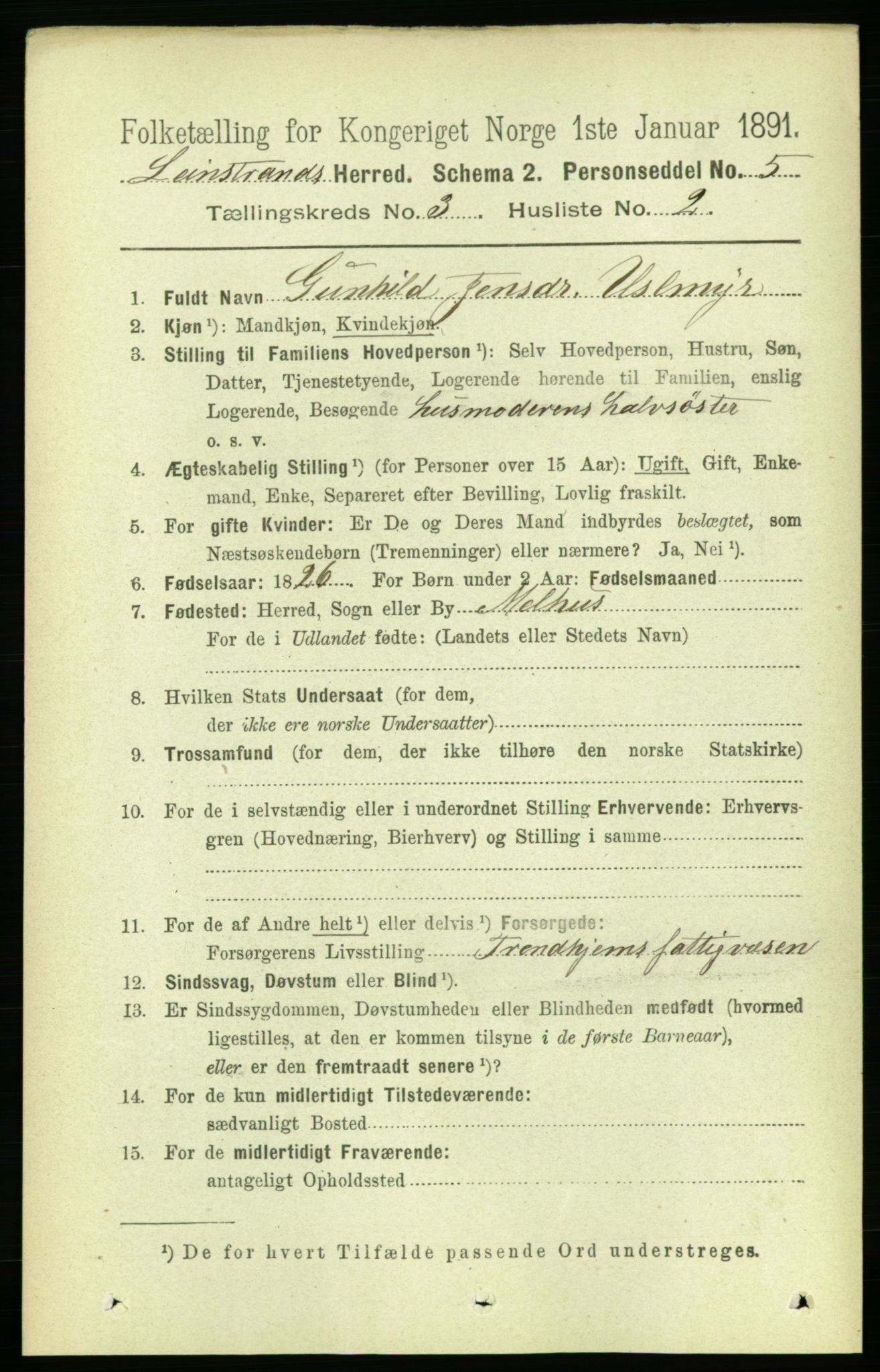 RA, 1891 census for 1654 Leinstrand, 1891, p. 1015