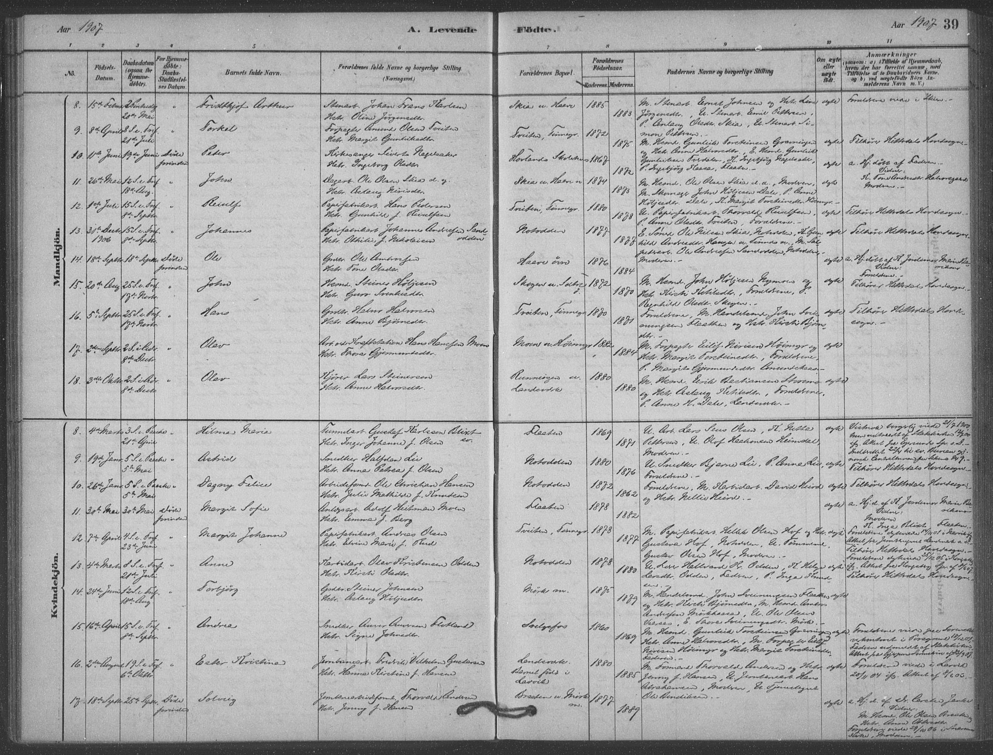Heddal kirkebøker, SAKO/A-268/F/Fb/L0002: Parish register (official) no. II 2, 1878-1913, p. 39