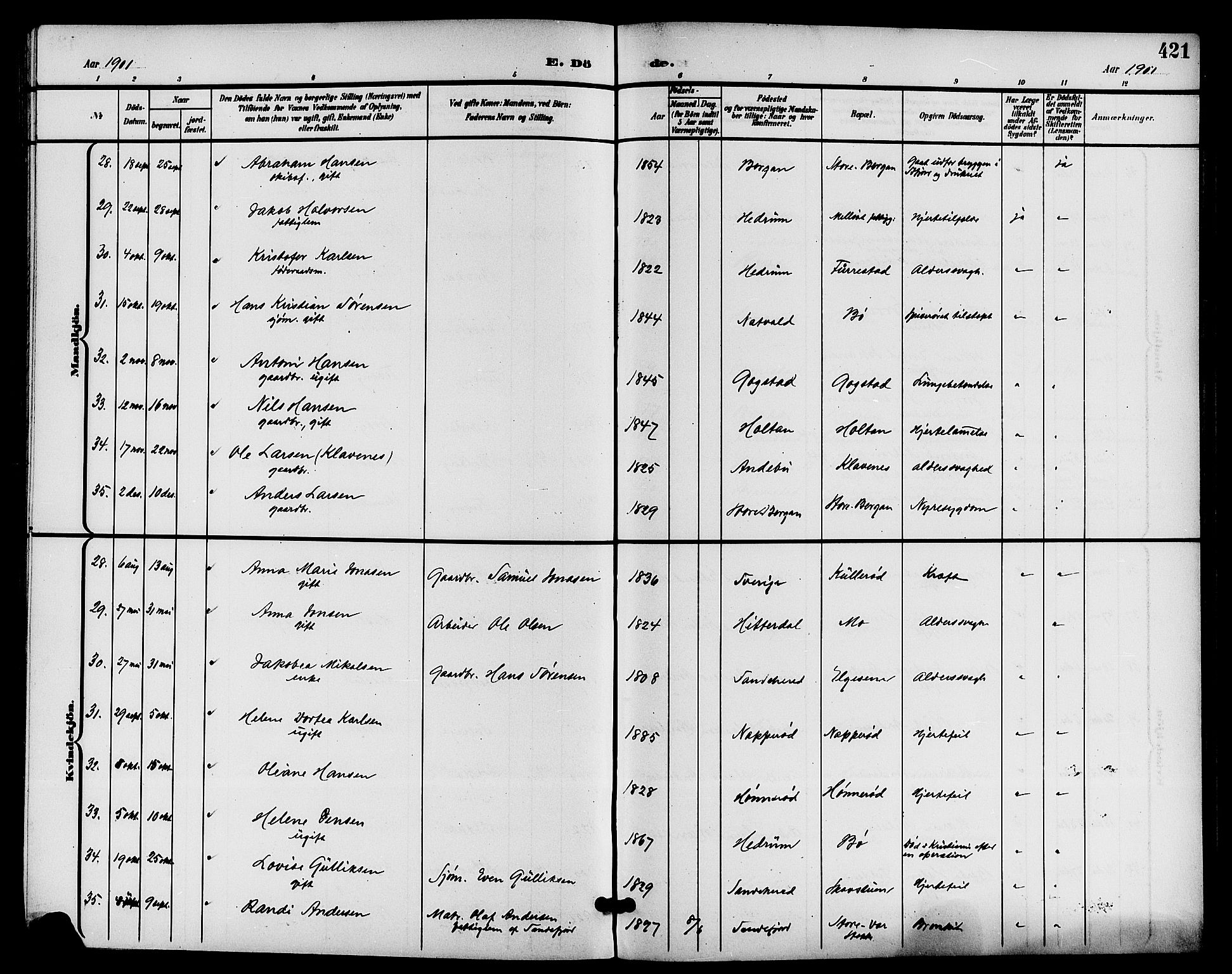 Sandar kirkebøker, AV/SAKO-A-243/G/Ga/L0002: Parish register (copy) no. 2, 1900-1915, p. 421