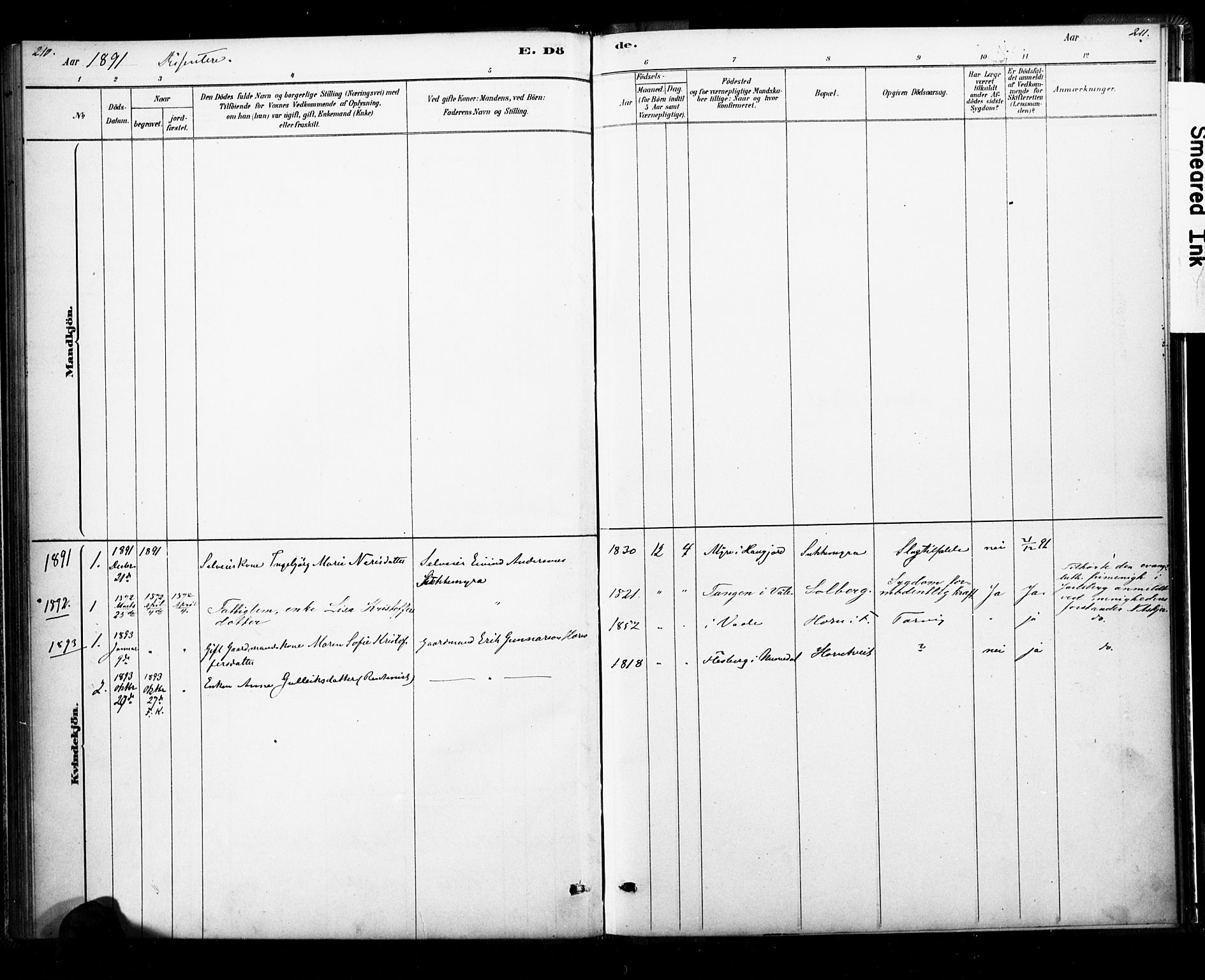 Ramnes kirkebøker, SAKO/A-314/F/Fb/L0001: Parish register (official) no. II 1, 1878-1894, p. 210-211