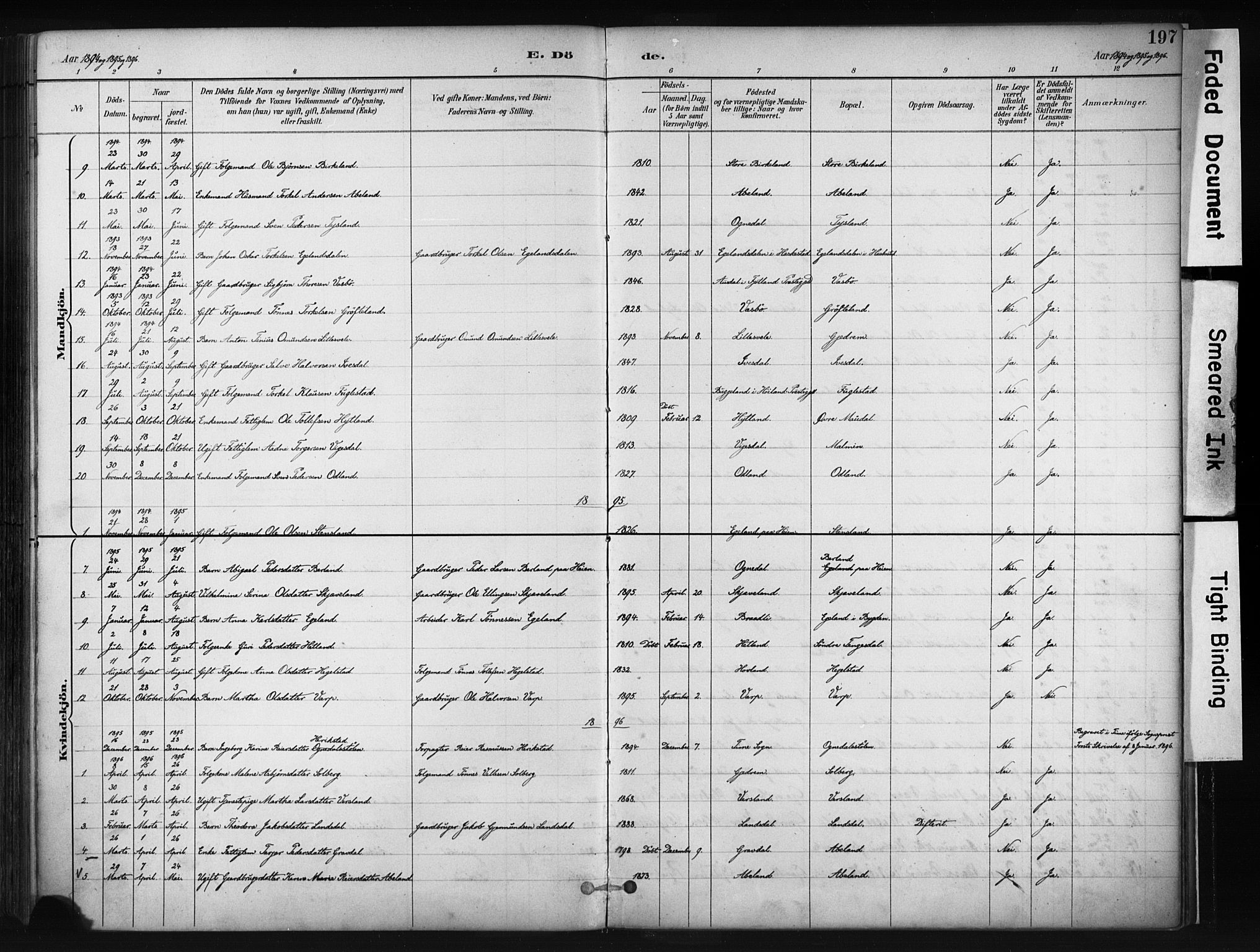 Helleland sokneprestkontor, AV/SAST-A-101810: Parish register (official) no. A 9, 1887-1908, p. 197