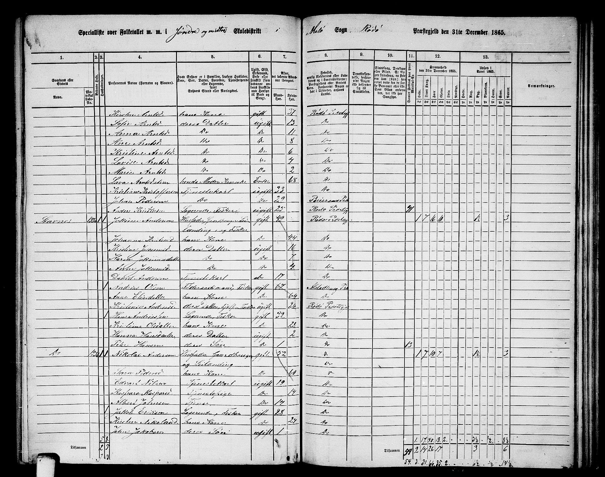 RA, 1865 census for Rødøy, 1865, p. 95