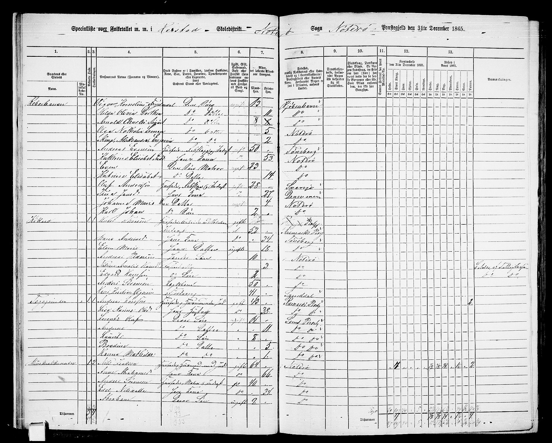 RA, 1865 census for Nøtterøy, 1865, p. 23