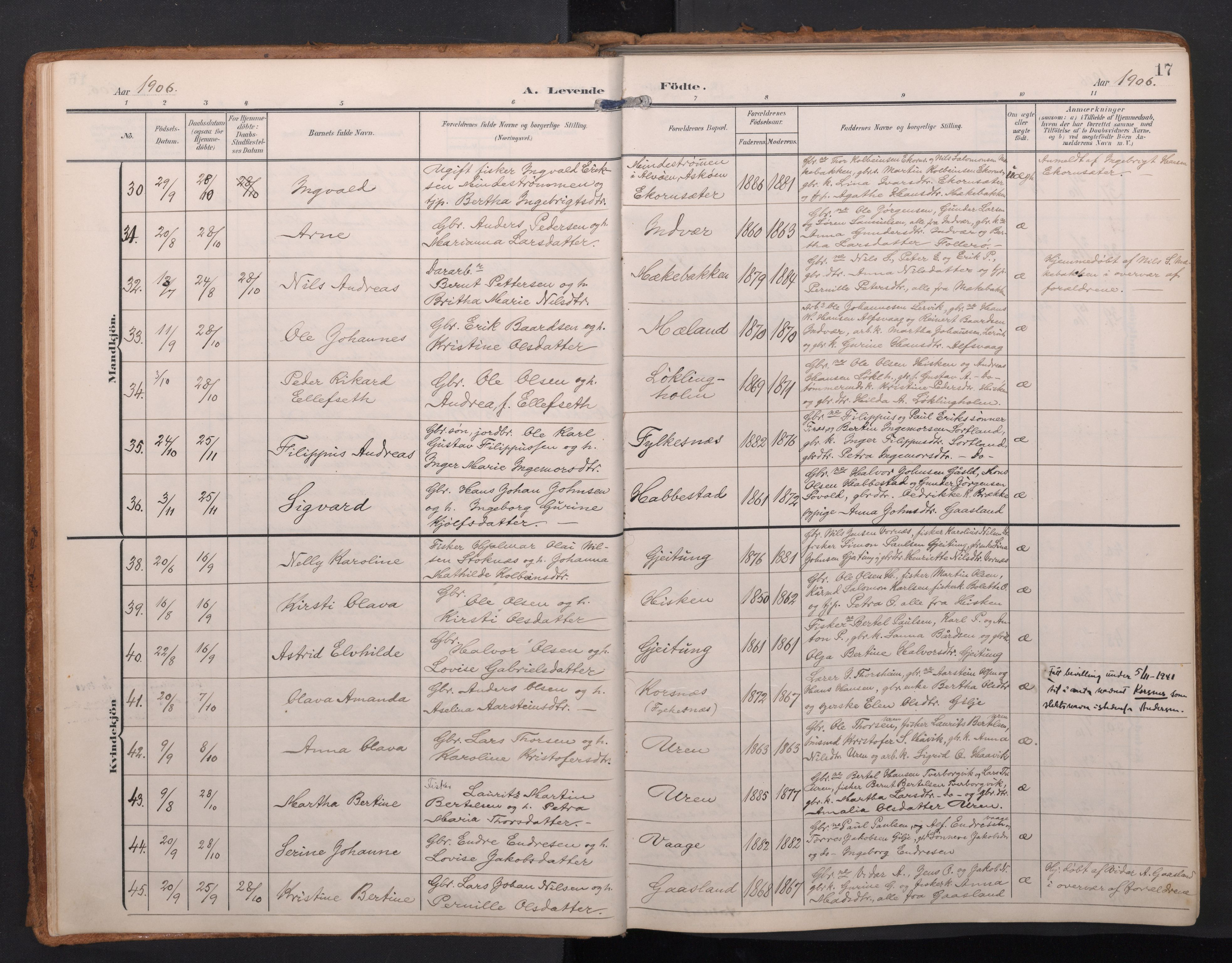 Finnås sokneprestembete, AV/SAB-A-99925/H/Ha/Haa/Haac/L0003: Parish register (official) no. C 3, 1905-1917, p. 17
