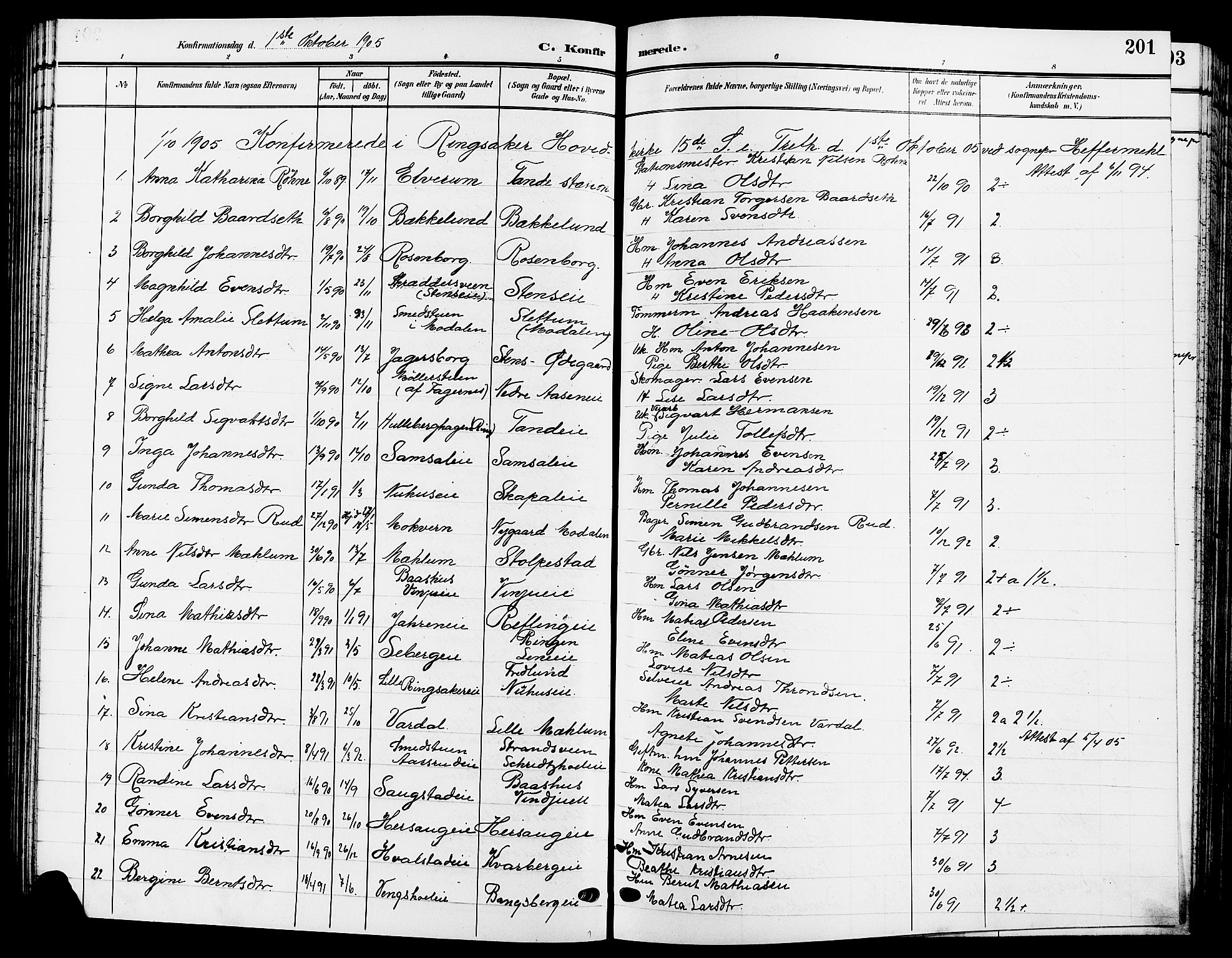 Ringsaker prestekontor, SAH/PREST-014/L/La/L0015: Parish register (copy) no. 15, 1903-1912, p. 201