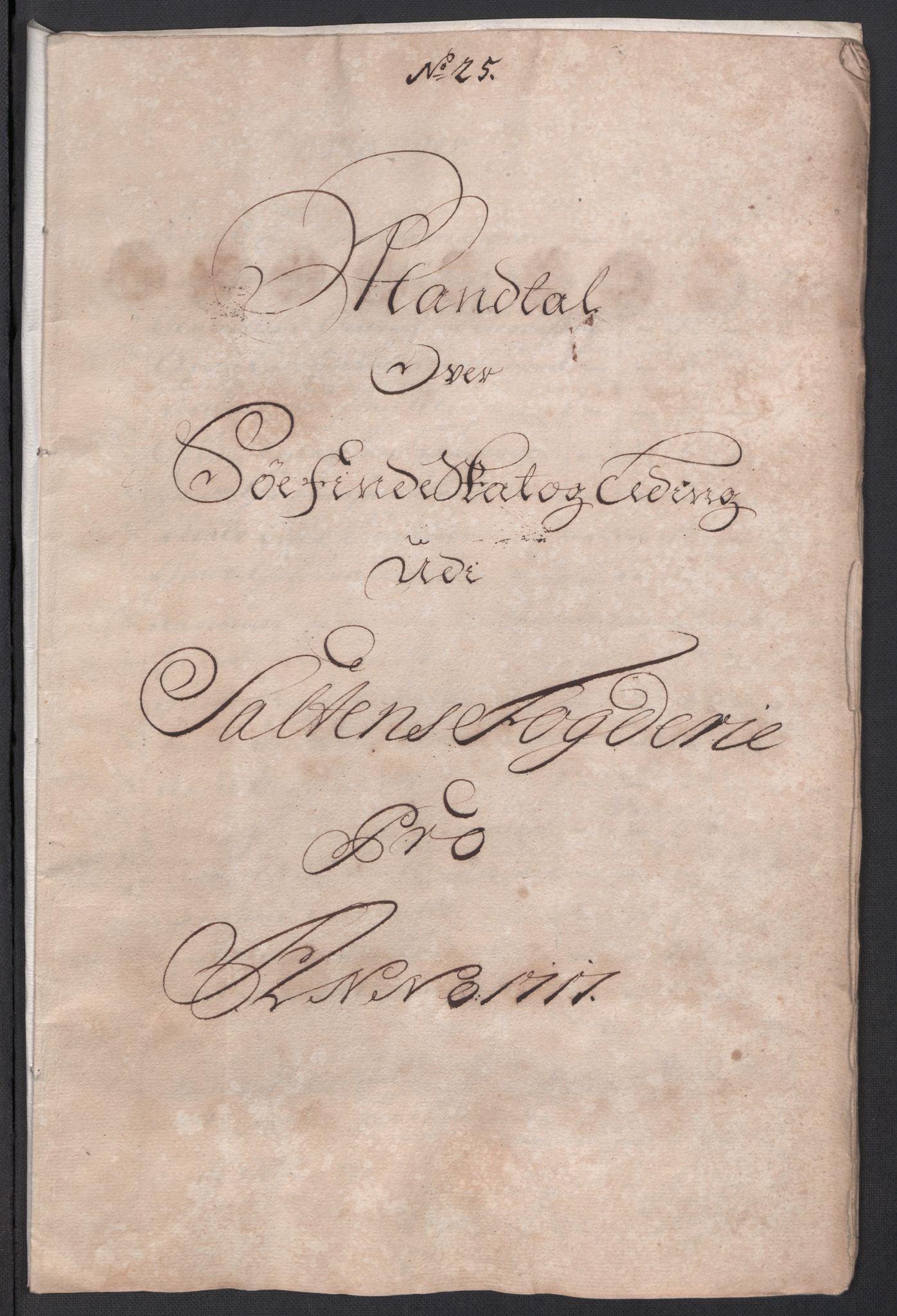 Rentekammeret inntil 1814, Reviderte regnskaper, Fogderegnskap, AV/RA-EA-4092/R66/L4587: Fogderegnskap Salten, 1717, p. 272