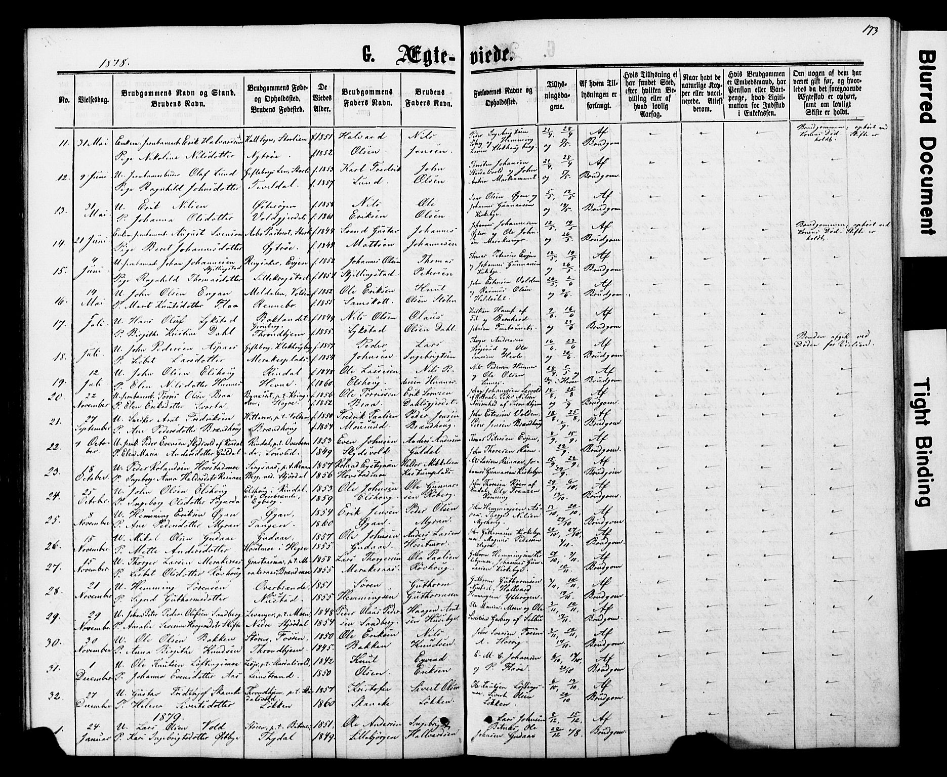 Ministerialprotokoller, klokkerbøker og fødselsregistre - Nord-Trøndelag, SAT/A-1458/706/L0049: Parish register (copy) no. 706C01, 1864-1895, p. 173