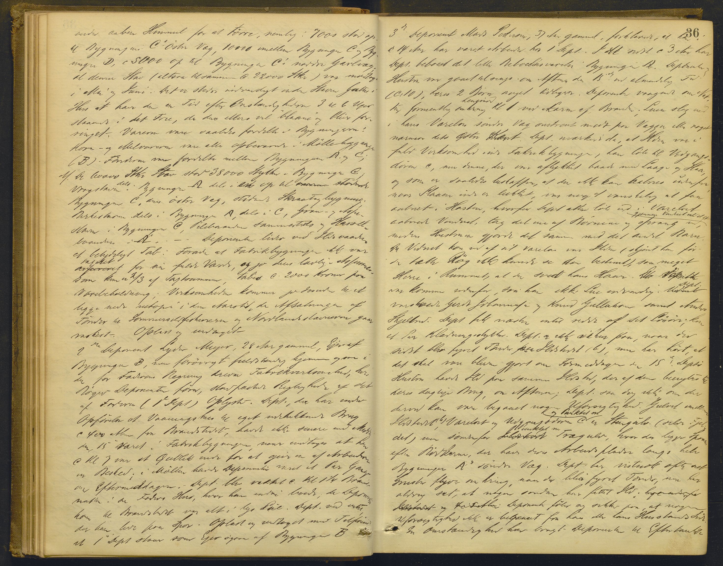 Nordhordland sorenskrivar, AV/SAB-A-2901/1/F/Fd/Fdd/L0004: Ekstrarettsprotokollar, forhøyr, 1880-1884, p. 35b-36a