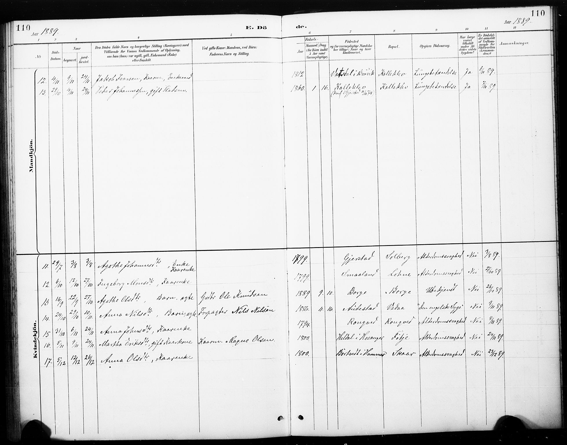 Haus sokneprestembete, AV/SAB-A-75601/H/Haa: Parish register (official) no. C 1, 1887-1899, p. 110