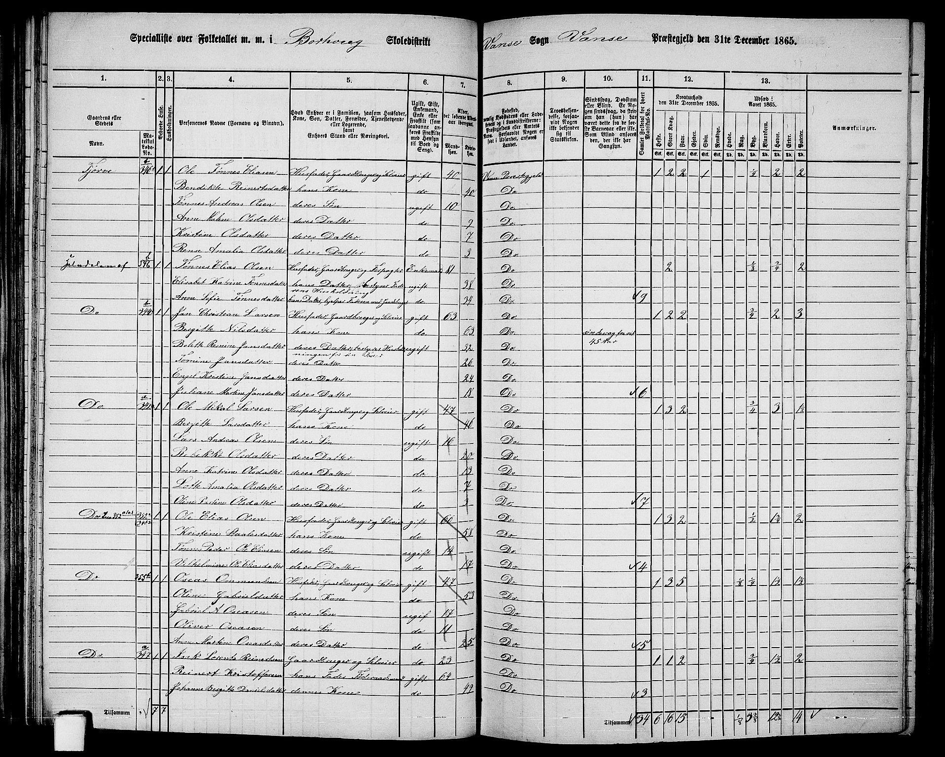 RA, 1865 census for Vanse/Vanse og Farsund, 1865, p. 113