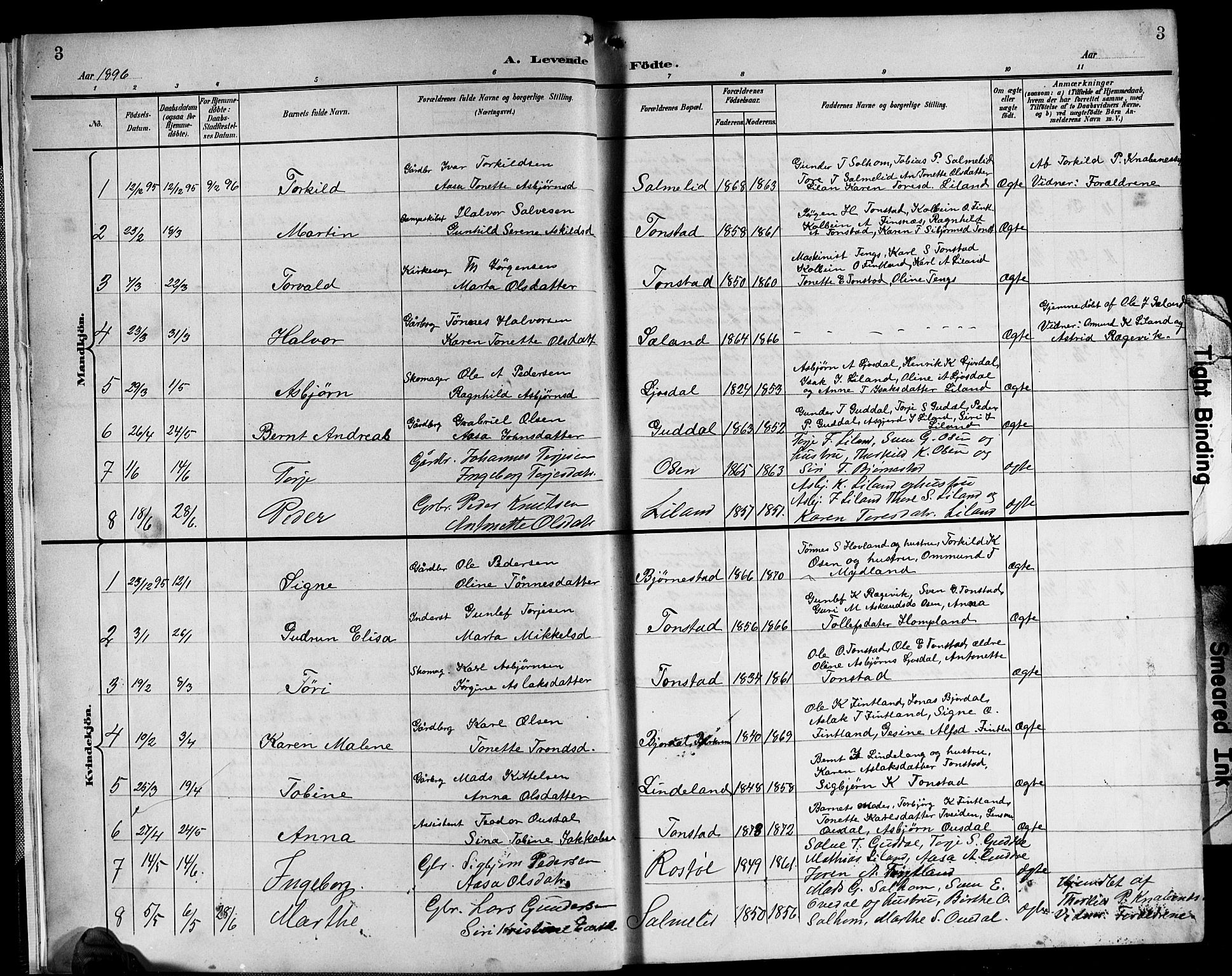 Sirdal sokneprestkontor, AV/SAK-1111-0036/F/Fb/Fbb/L0004: Parish register (copy) no. B 4, 1895-1916, p. 3