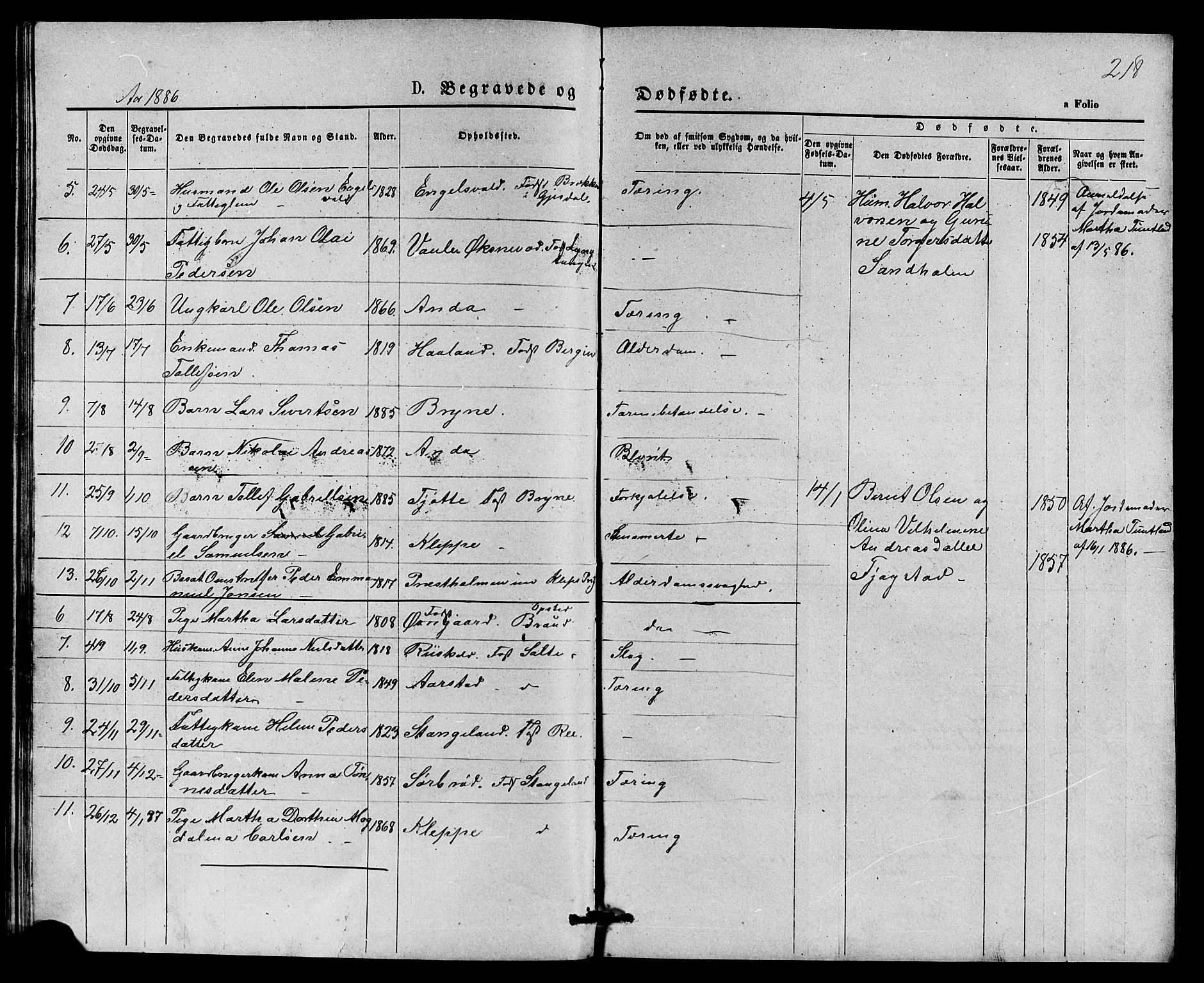 Klepp sokneprestkontor, AV/SAST-A-101803/001/3/30BB/L0003: Parish register (copy) no. B 3, 1876-1888, p. 218