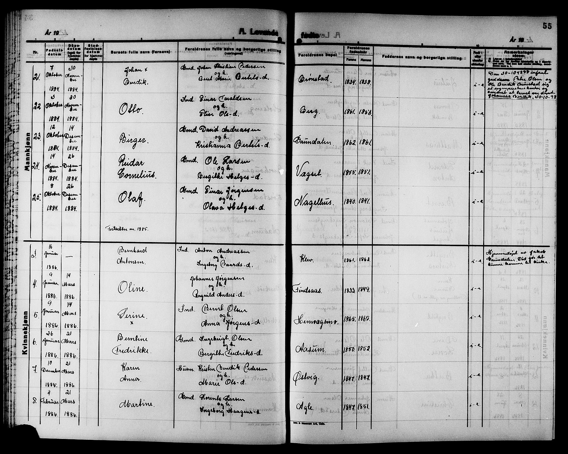 Ministerialprotokoller, klokkerbøker og fødselsregistre - Nord-Trøndelag, SAT/A-1458/749/L0486: Parish register (official) no. 749D02, 1873-1887, p. 55