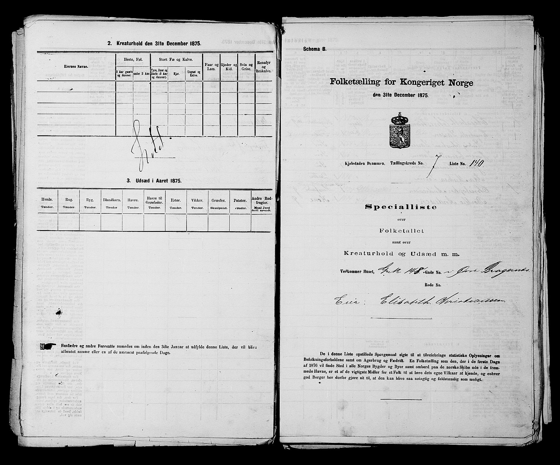 SAKO, 1875 census for 0602 Drammen, 1875, p. 624