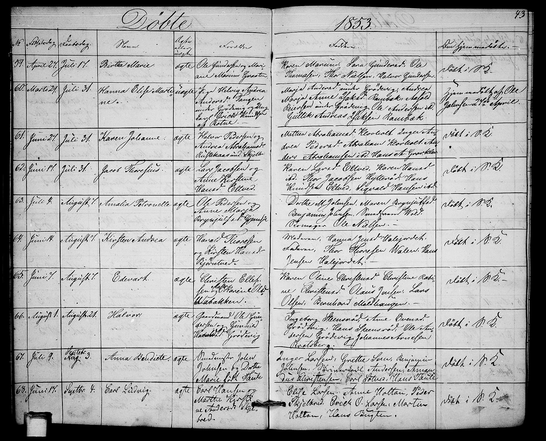 Solum kirkebøker, SAKO/A-306/G/Ga/L0003: Parish register (copy) no. I 3, 1848-1859, p. 43