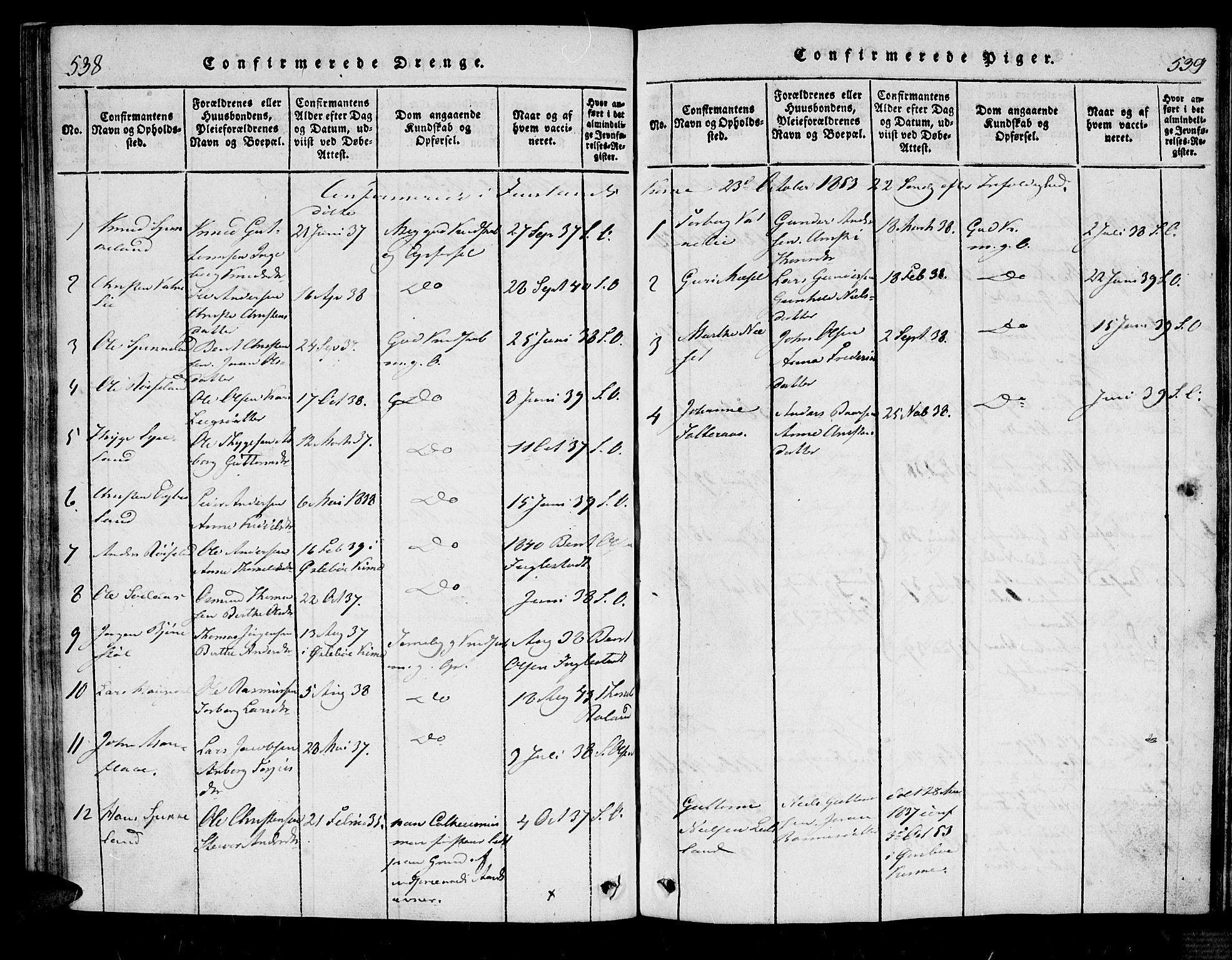 Bjelland sokneprestkontor, AV/SAK-1111-0005/F/Fa/Fab/L0002: Parish register (official) no. A 2, 1816-1869, p. 538-539