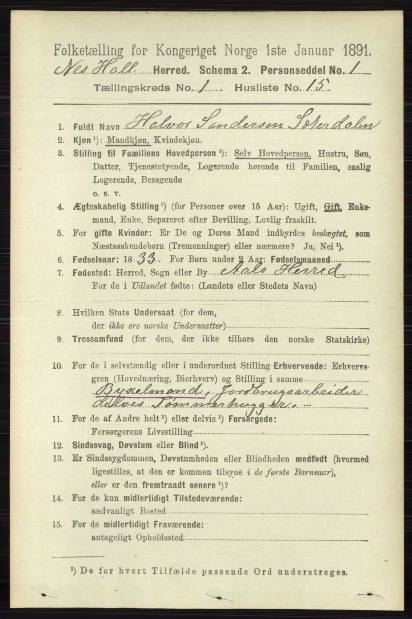 RA, 1891 census for 0616 Nes, 1891, p. 244