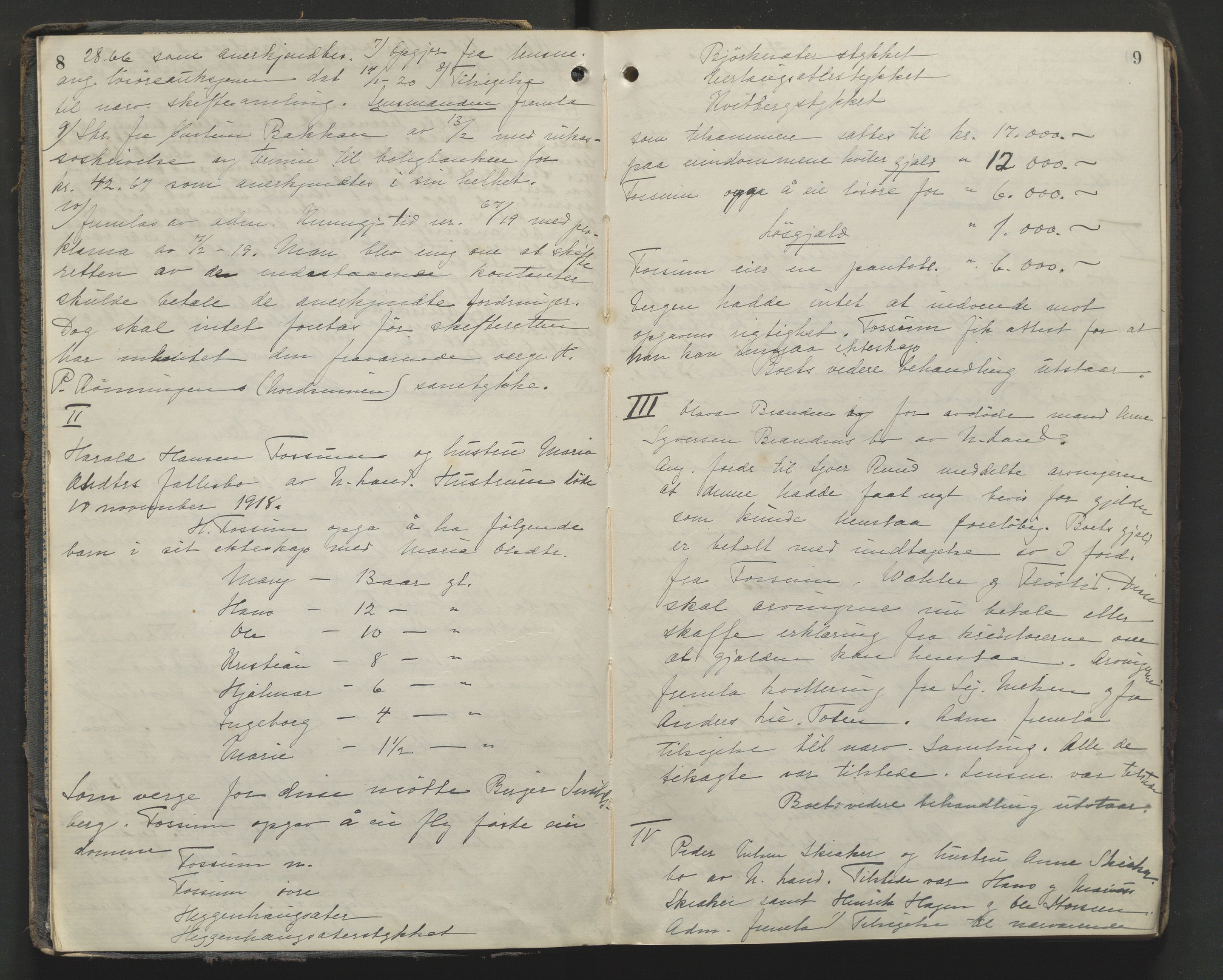 Hadeland og Land tingrett, AV/SAH-TING-010/J/Jc/L0012: Skifteforhandlingsprotokoll, 1920-1923, p. 8-9