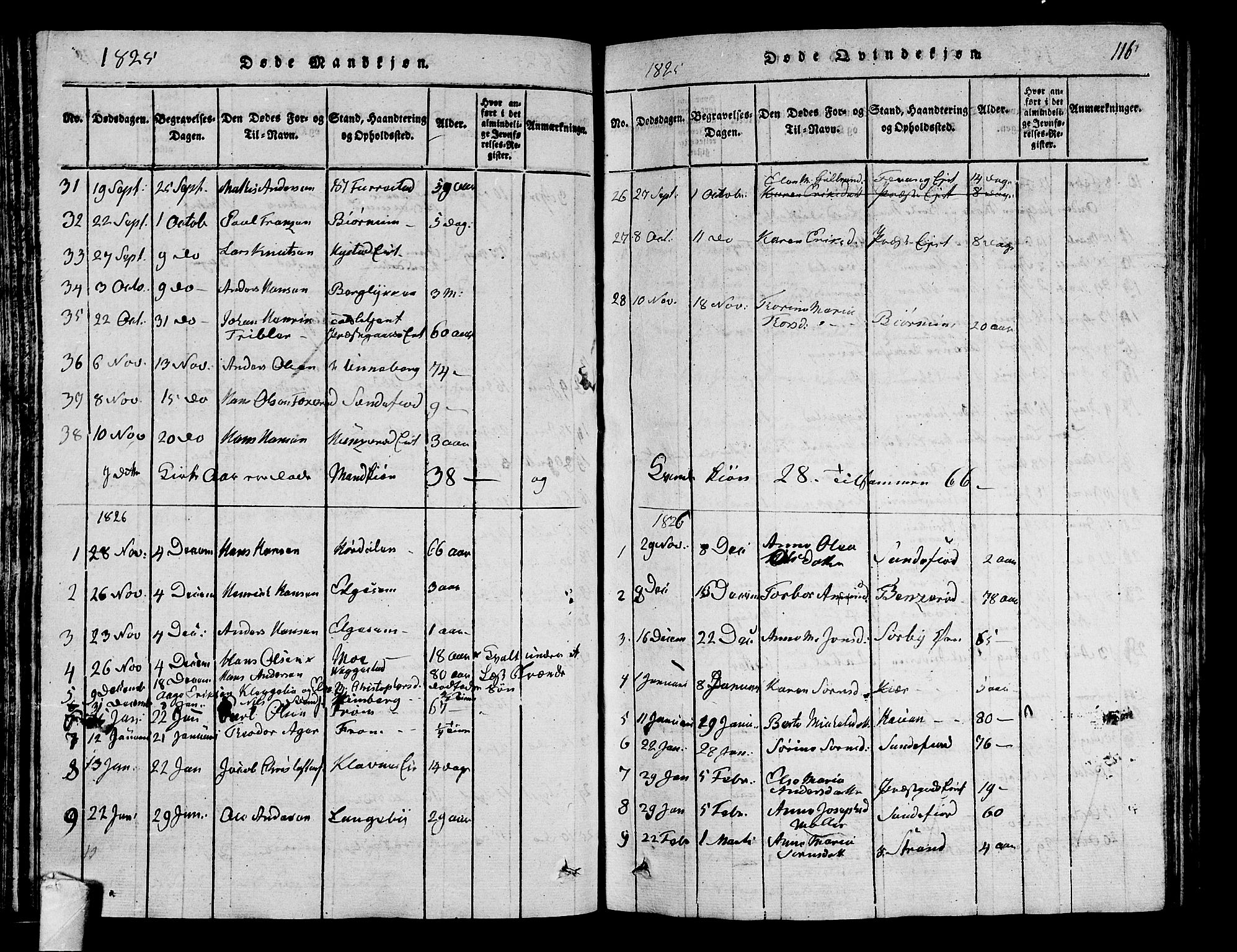 Sandar kirkebøker, SAKO/A-243/G/Ga/L0001: Parish register (copy) no. 1, 1814-1835, p. 116