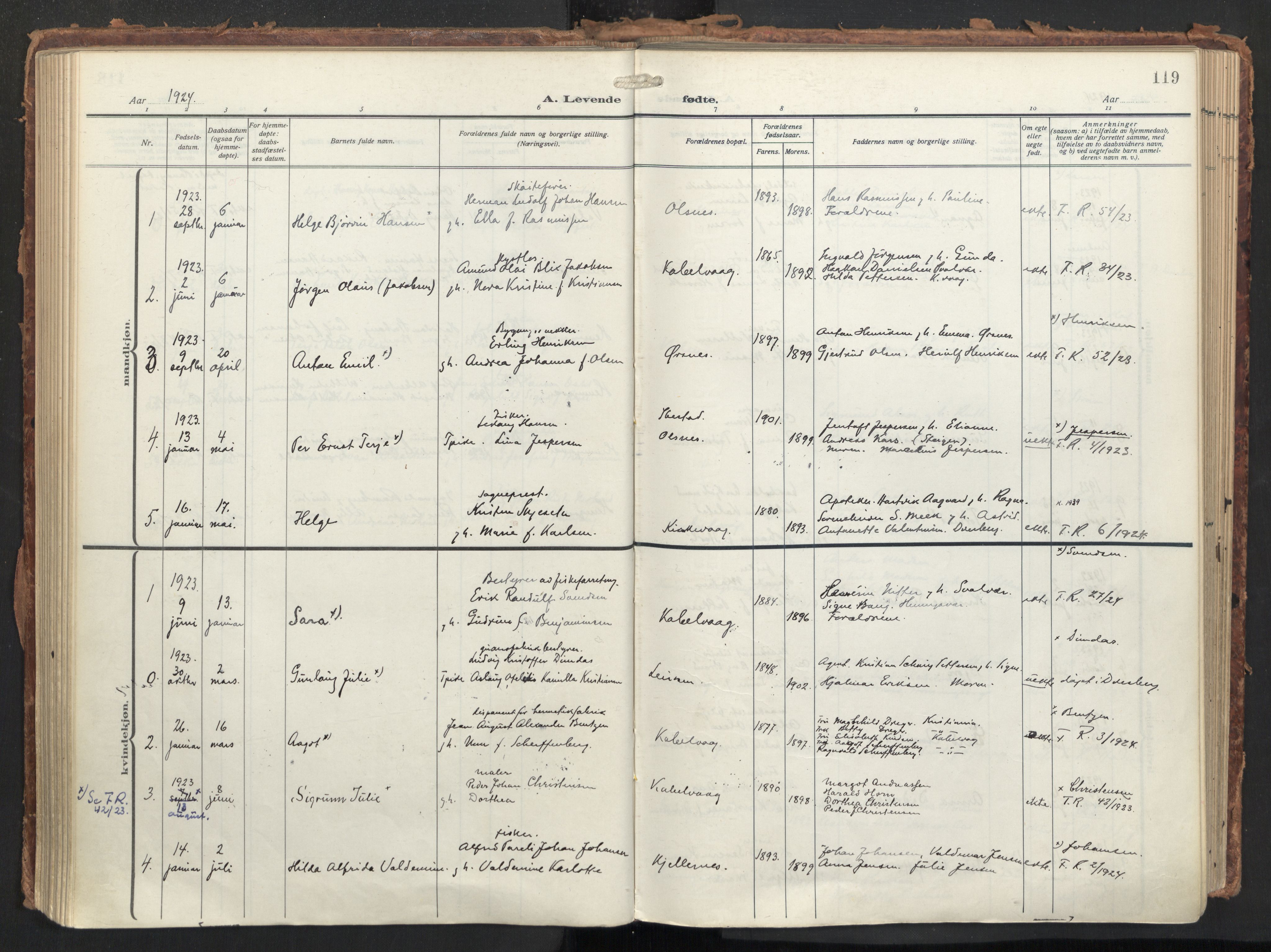 Ministerialprotokoller, klokkerbøker og fødselsregistre - Nordland, SAT/A-1459/874/L1064: Parish register (official) no. 874A08, 1915-1926, p. 119