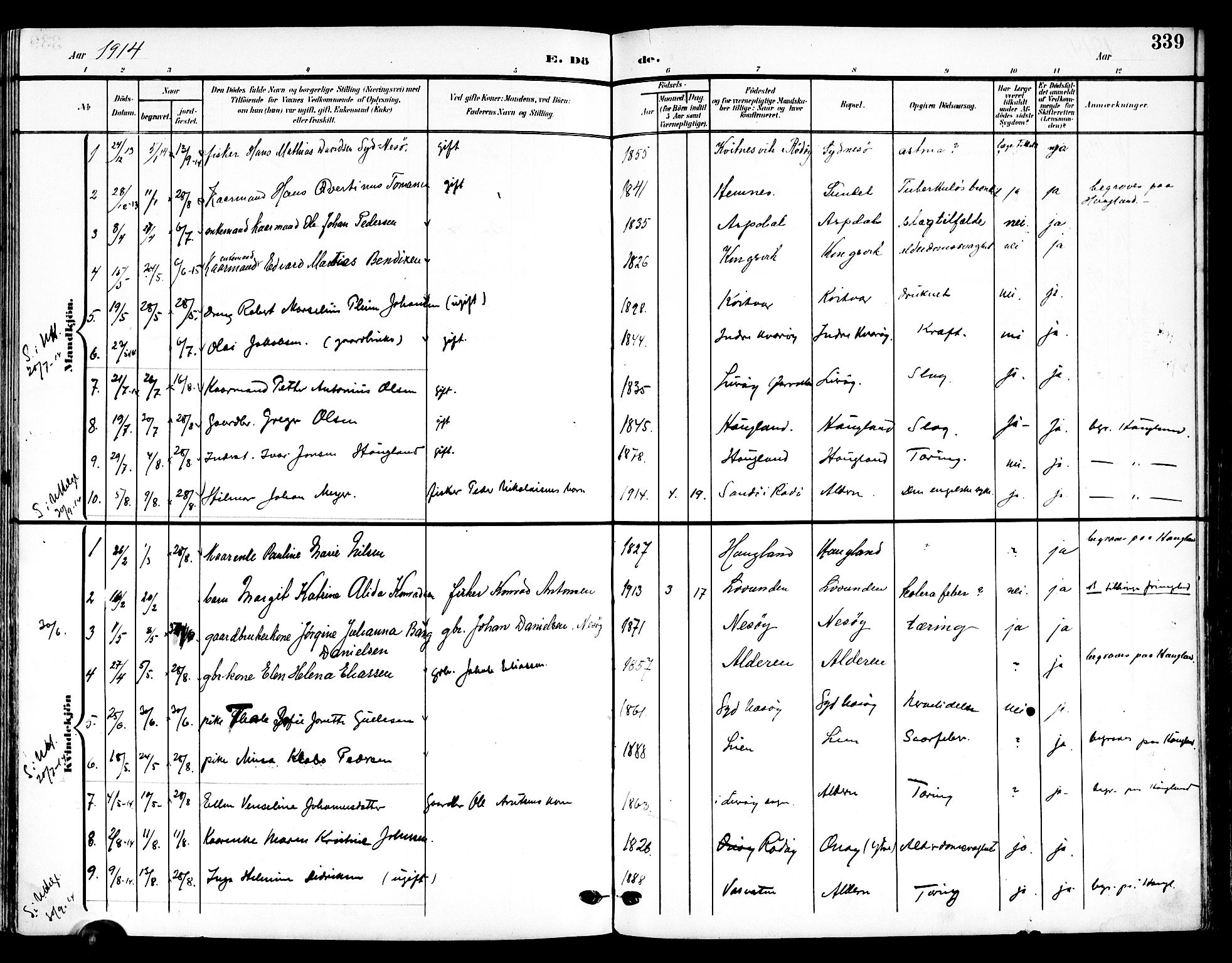 Ministerialprotokoller, klokkerbøker og fødselsregistre - Nordland, SAT/A-1459/839/L0569: Parish register (official) no. 839A06, 1903-1922, p. 339