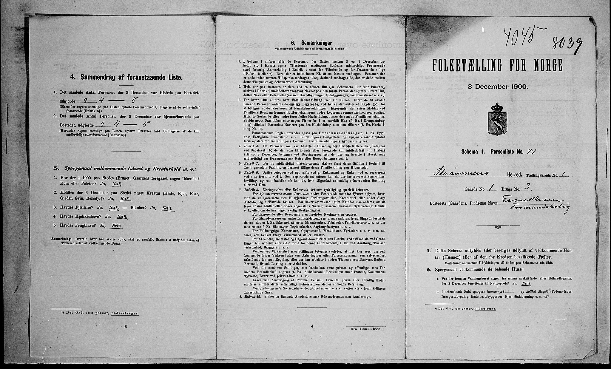 RA, 1900 census for Strømm, 1900, p. 19