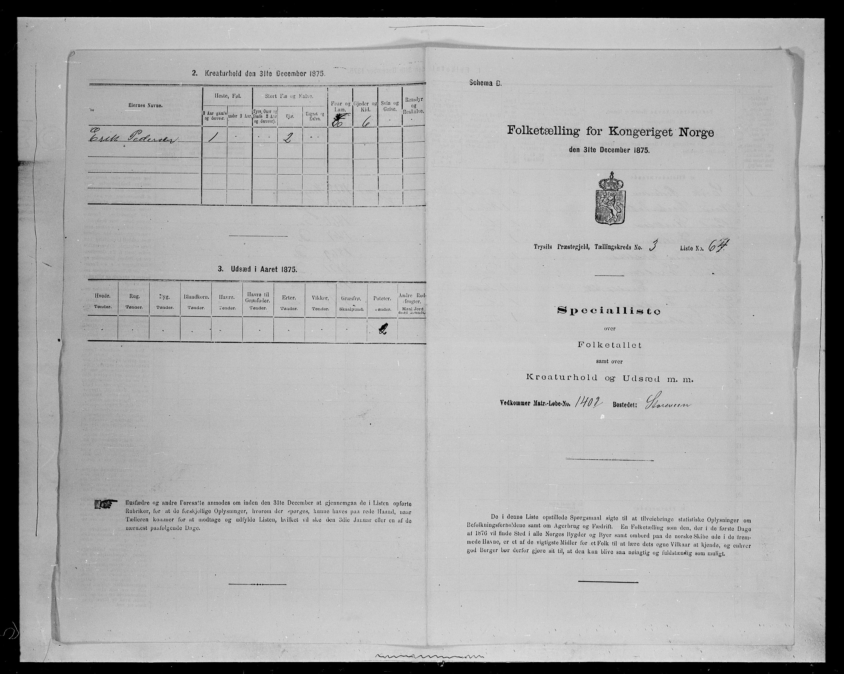 SAH, 1875 census for 0428P Trysil, 1875, p. 530